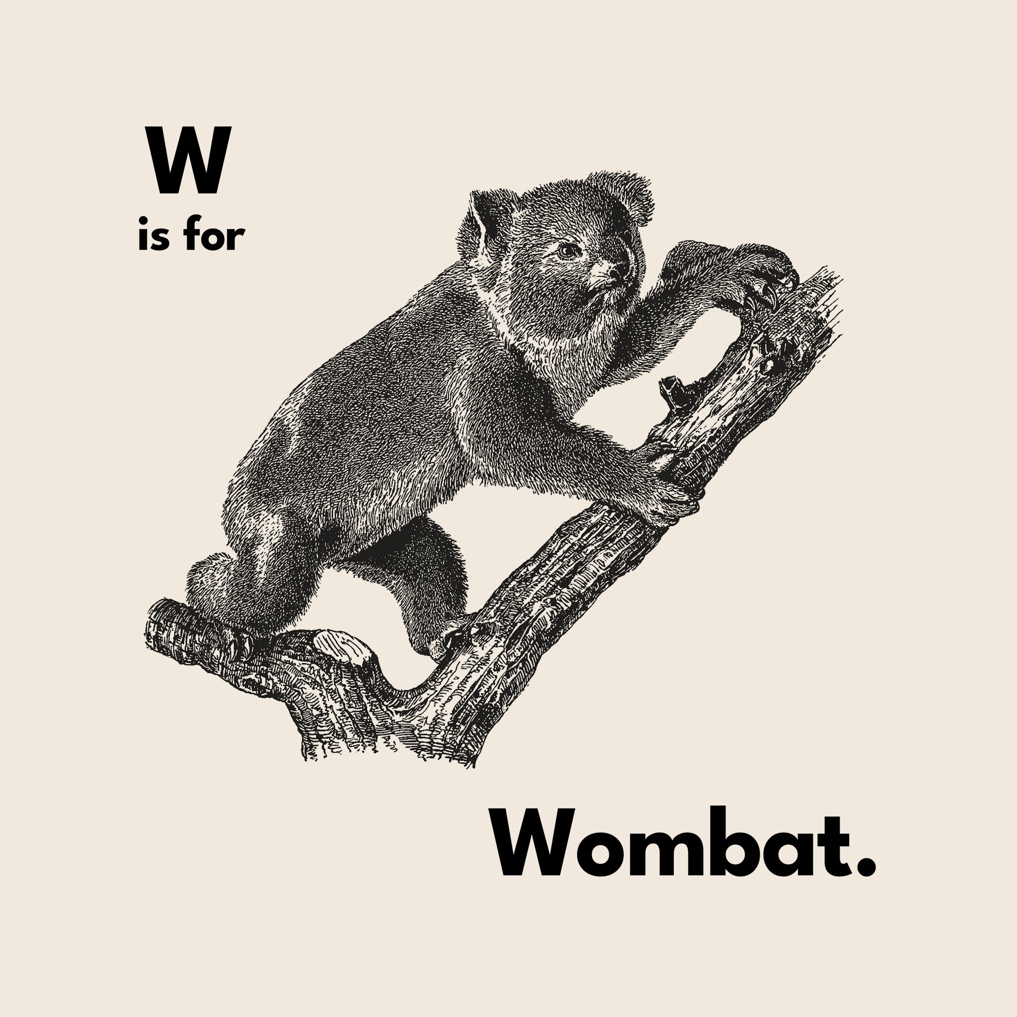 W Is For Wombat Oversized Tee