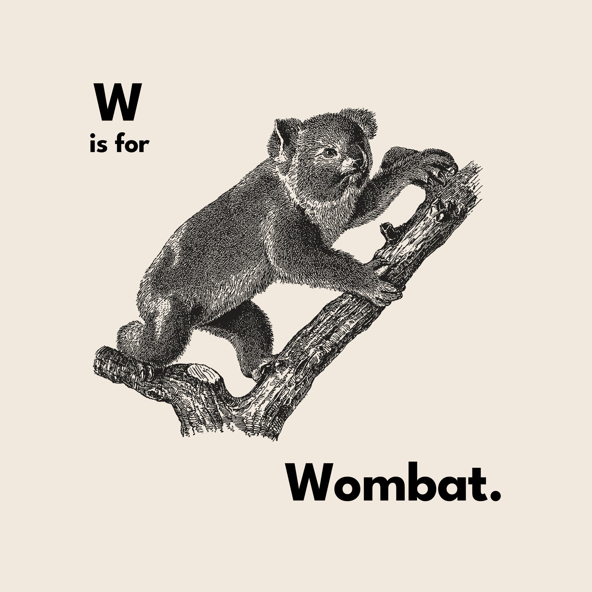 W Is For Wombat Tee