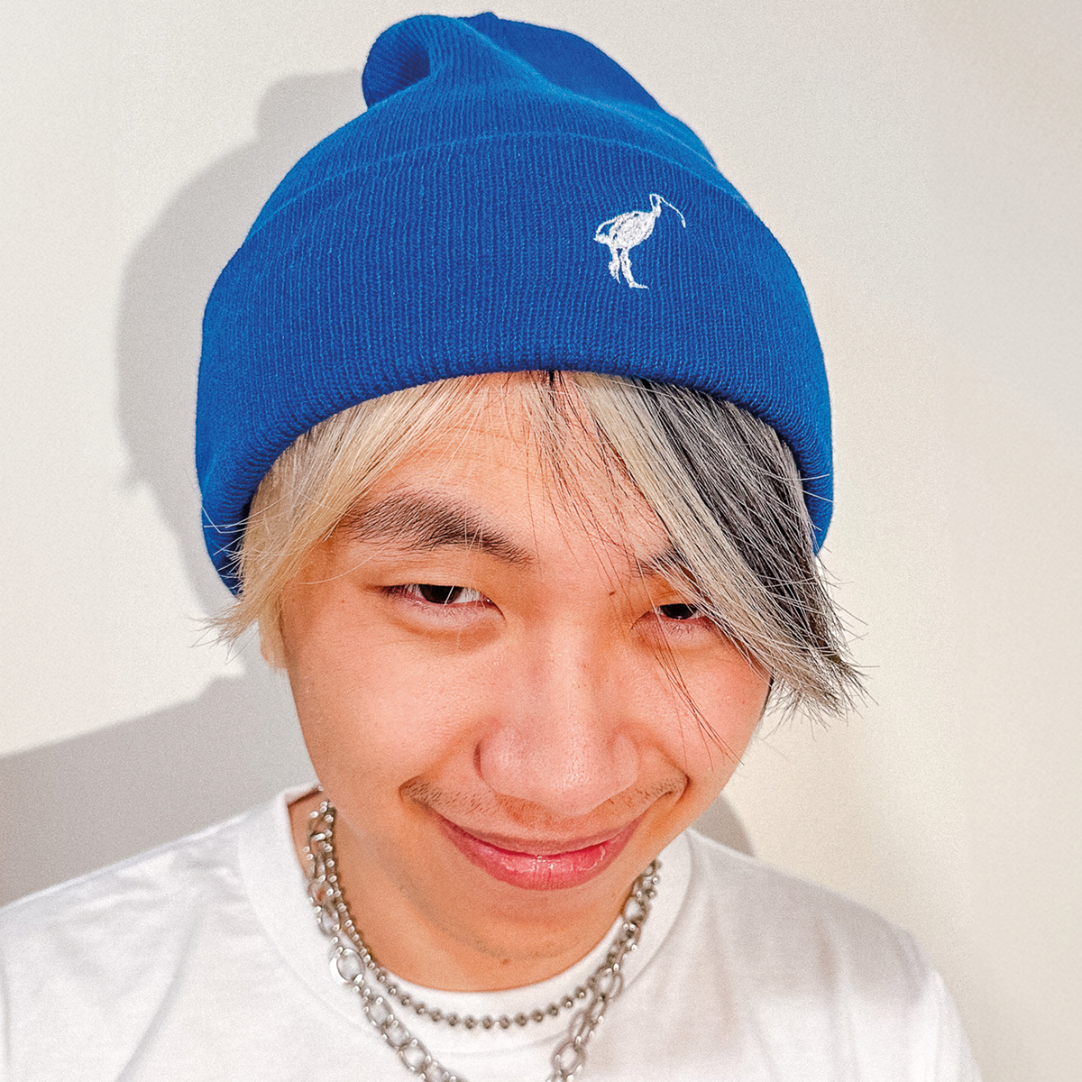 Royal Blue beanie with Ibis Logo Beanie graphic by Lonely Kids Club