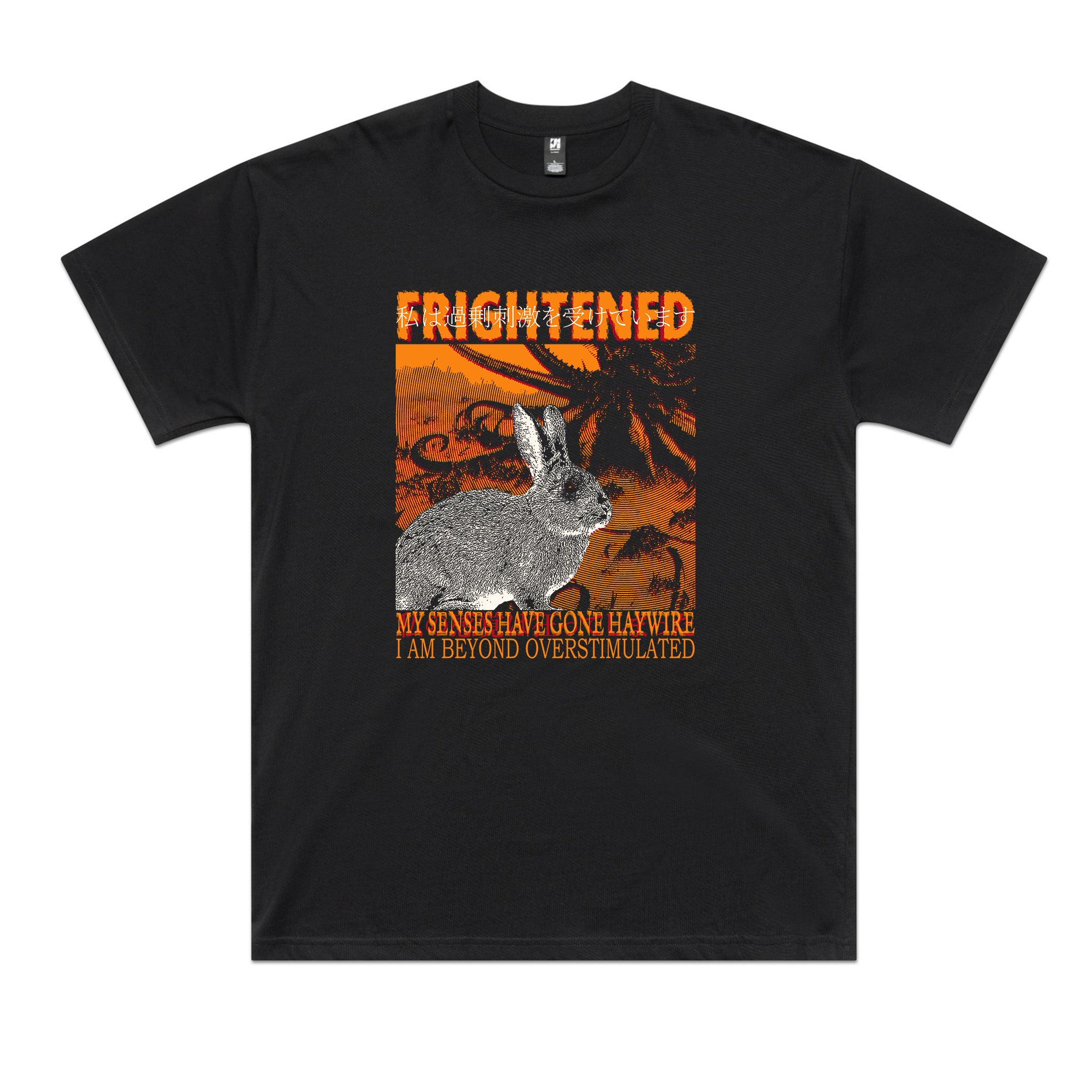 Frightened Rabbit Tee