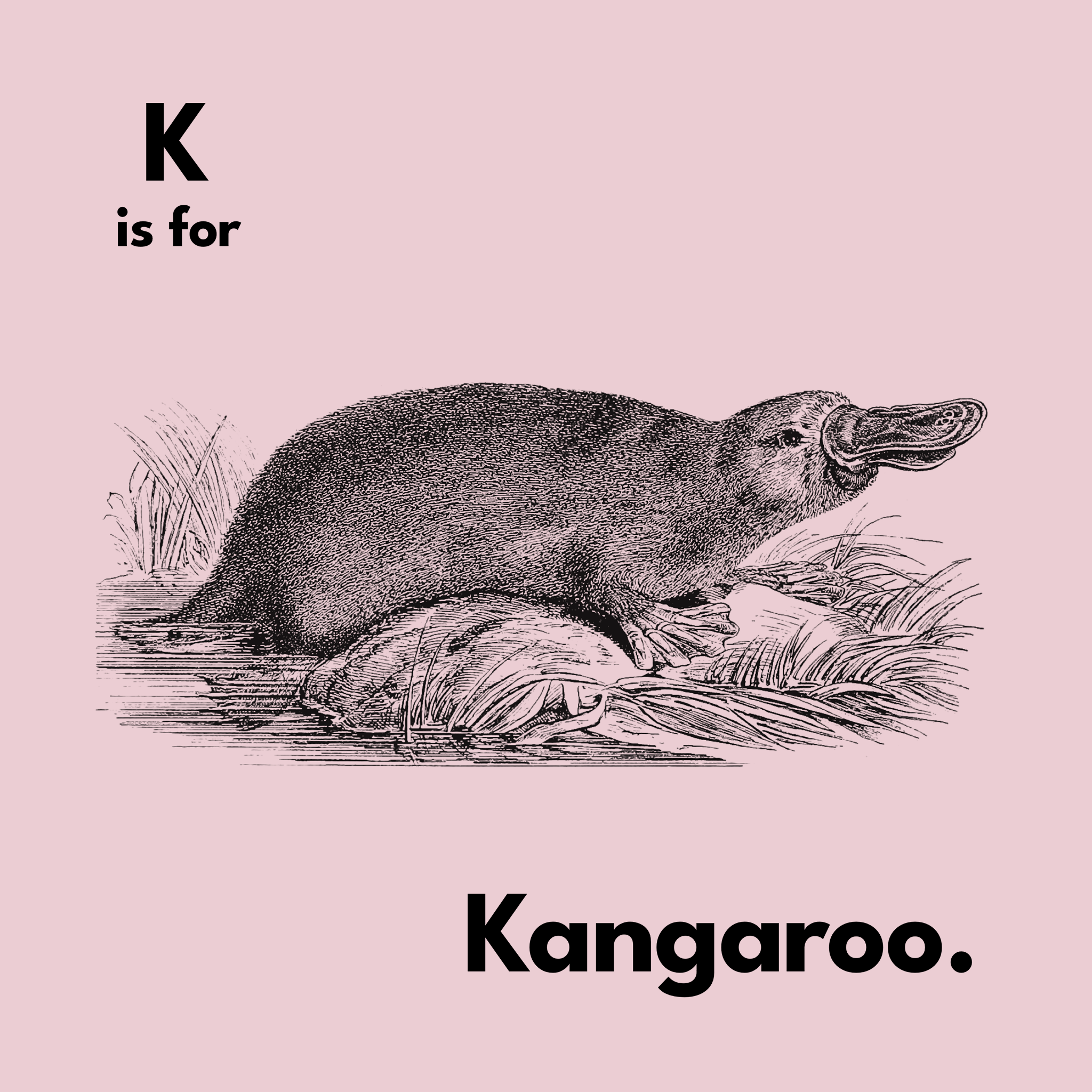 K Is For Kangaroo Tote