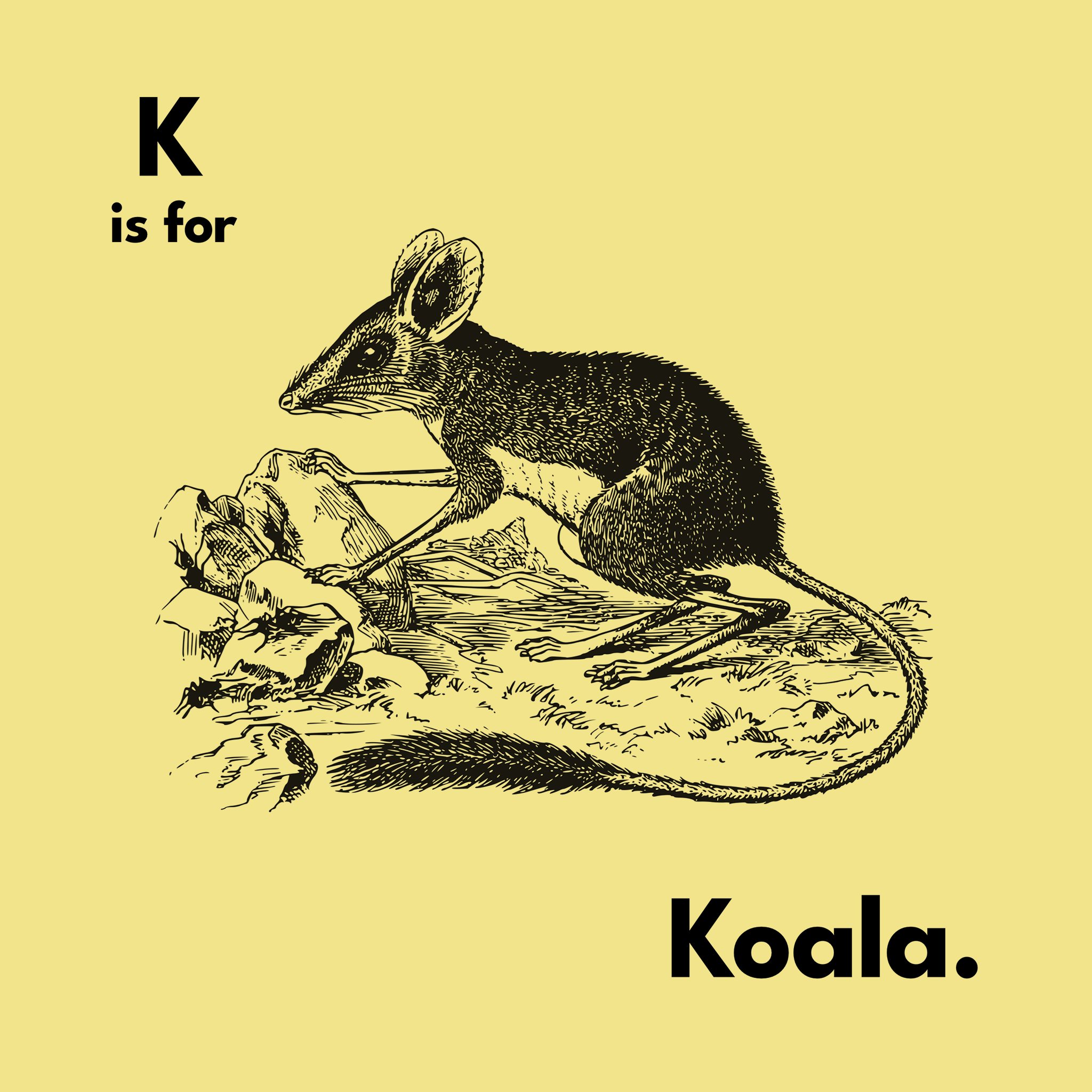 K Is For Koala Tee