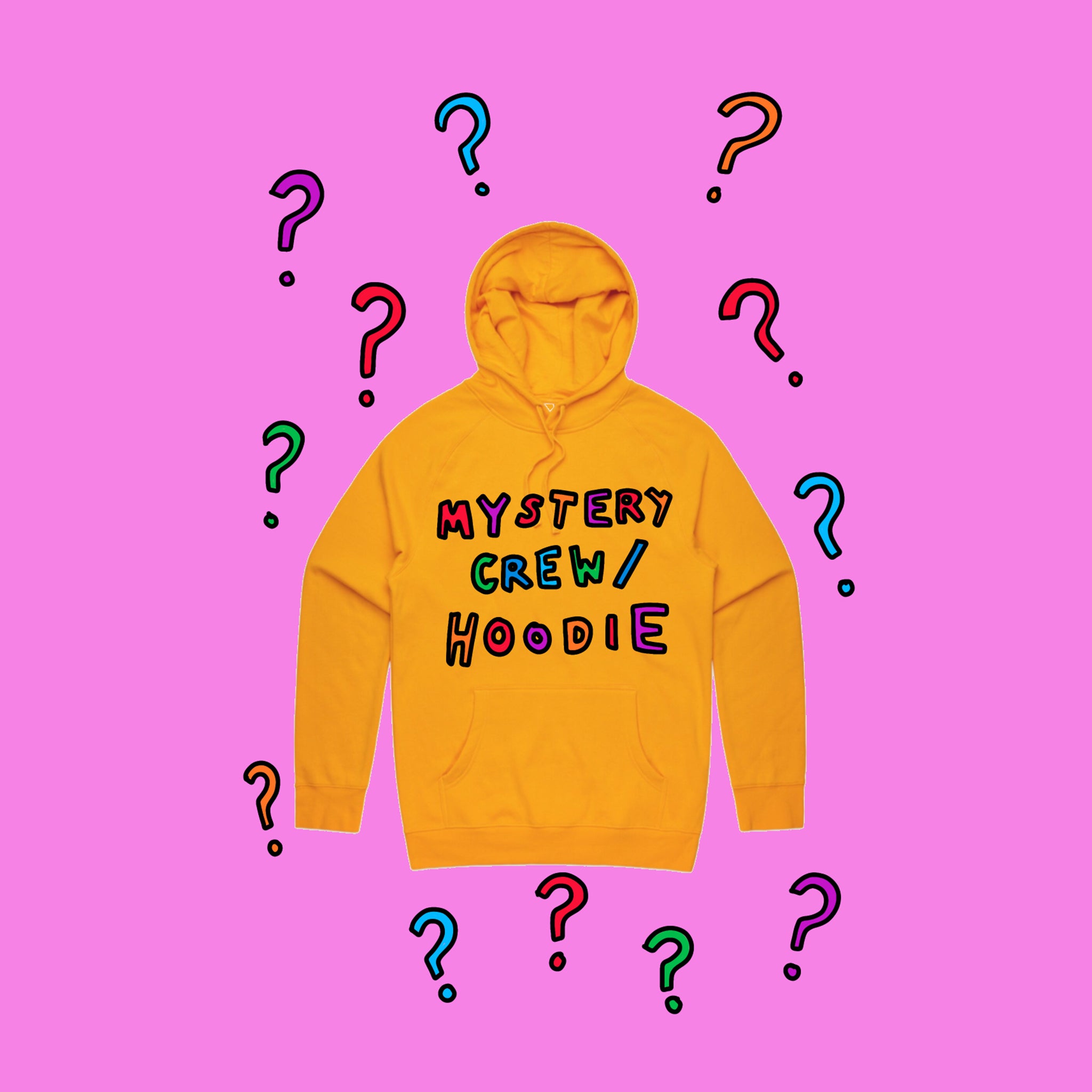 Mystery Jumper/Hoodie