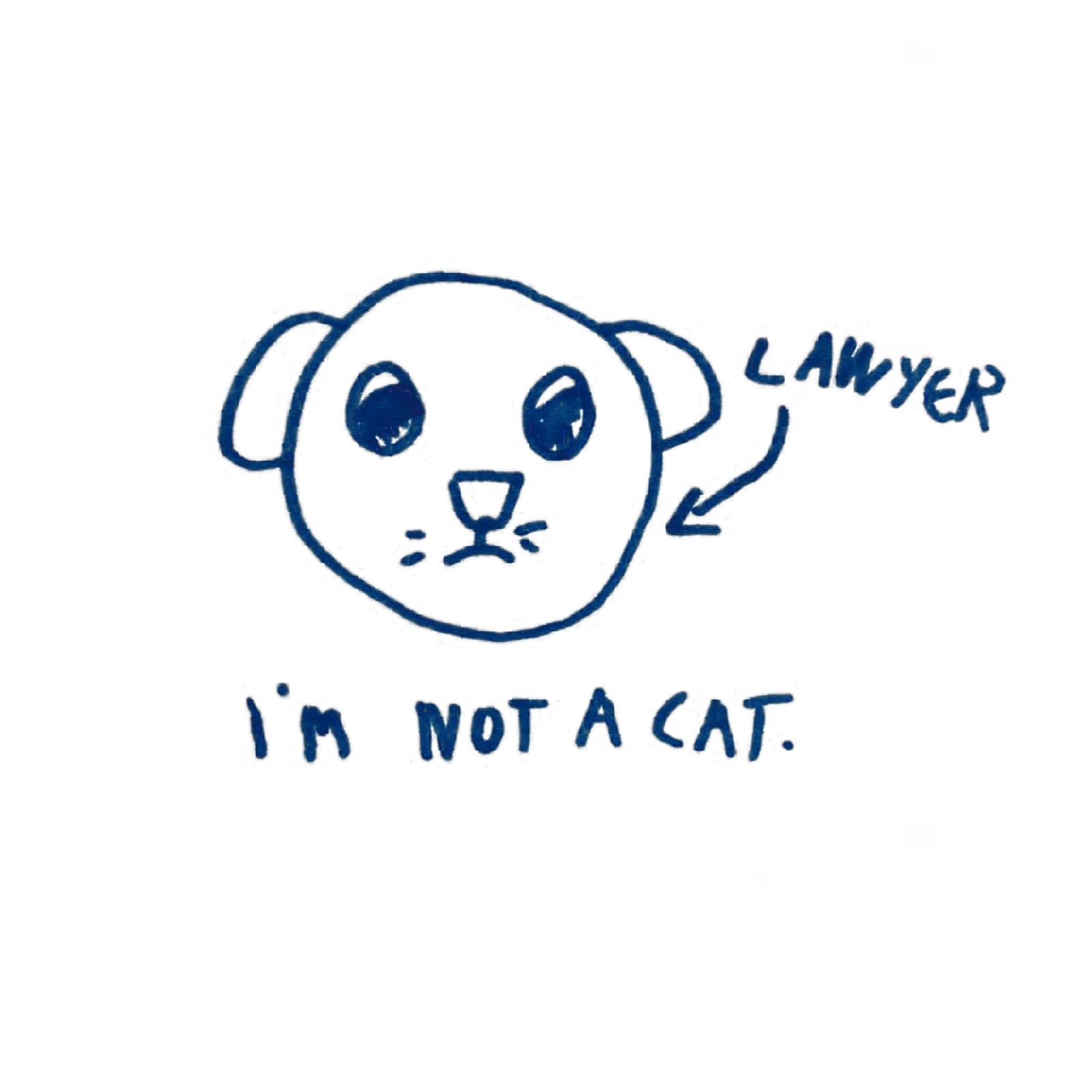 I'm Not A Cat t-shirt by Lonely Kids Club