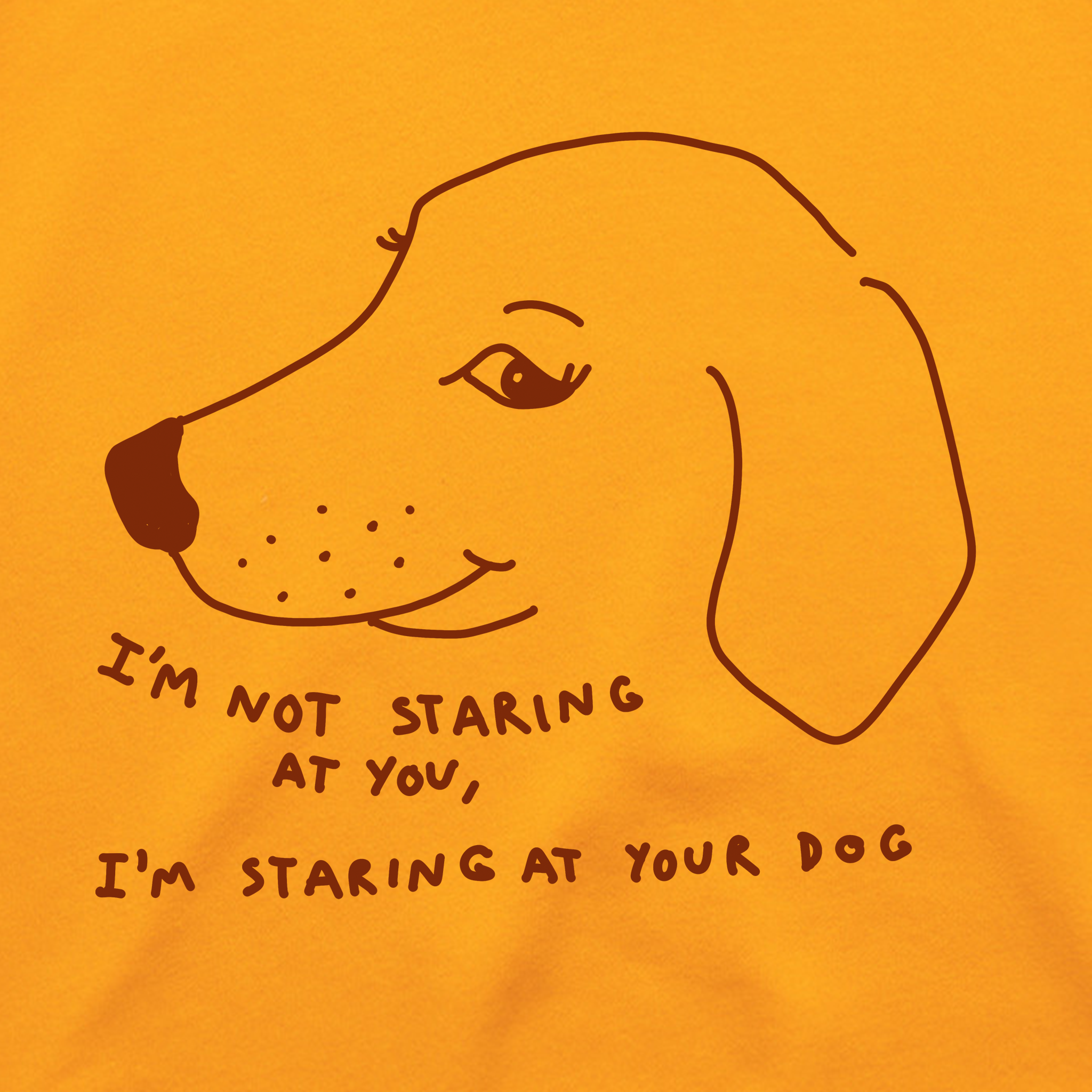 Staring At Your Dog Jumper
