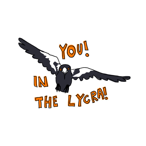 Magpie Swooping Season: A Survival Guide From People Who Actually Like Them