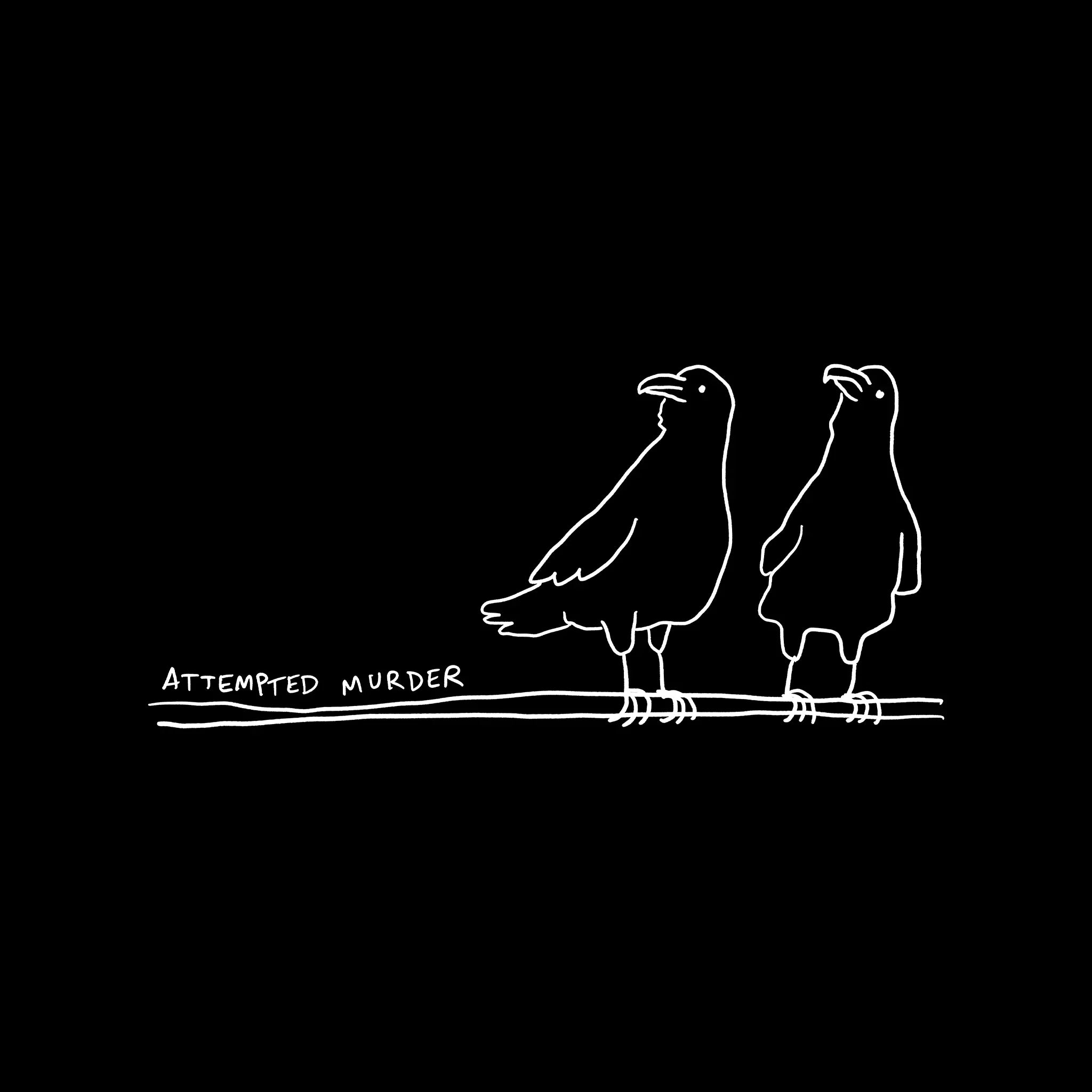 Why Is a Group of Crows Called a Murder?