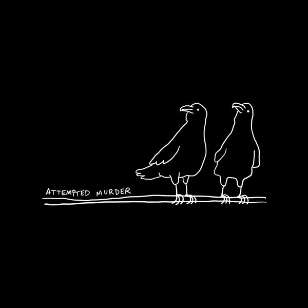 Why Is a Group of Crows Called a Murder?