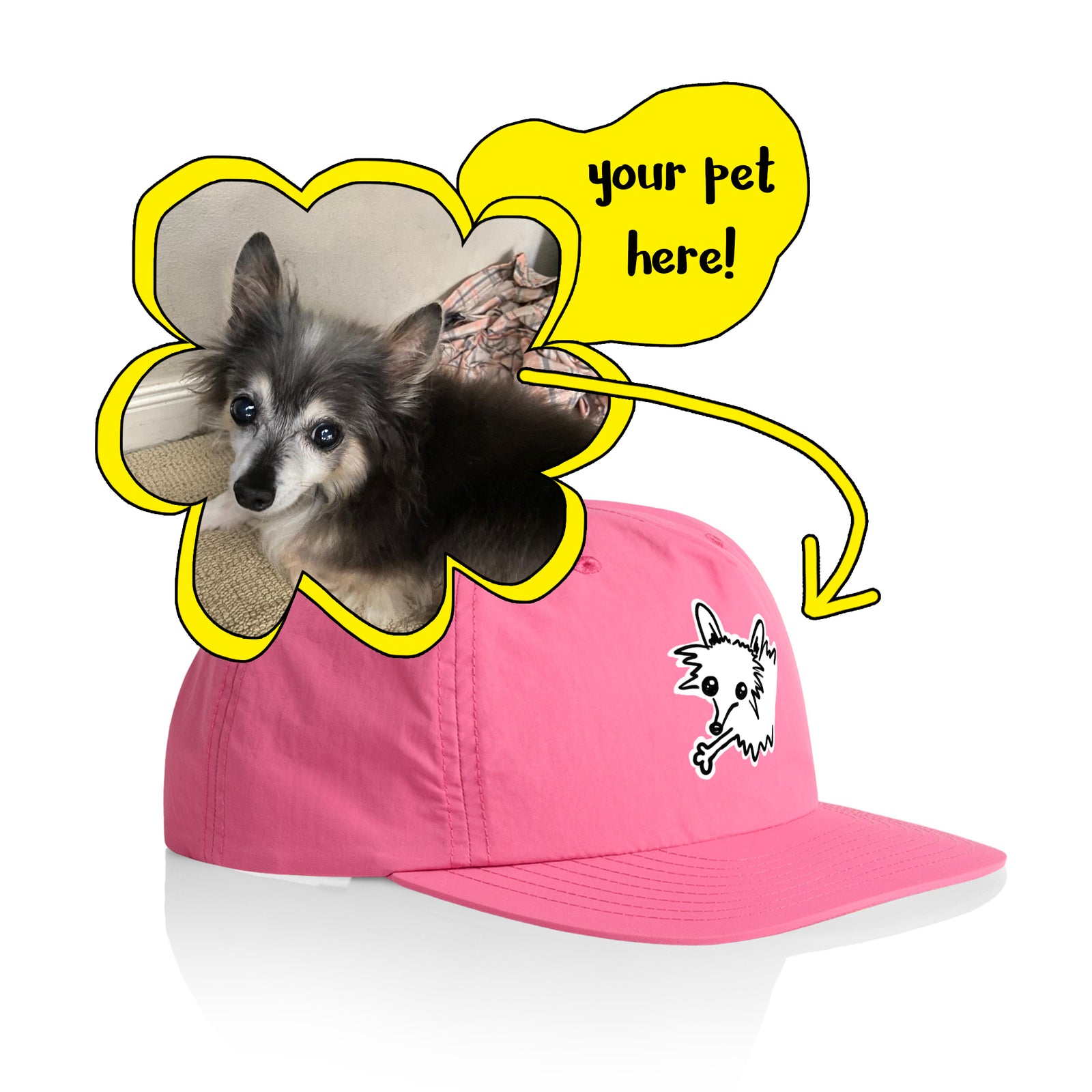 Badly Drawn Pet Hat