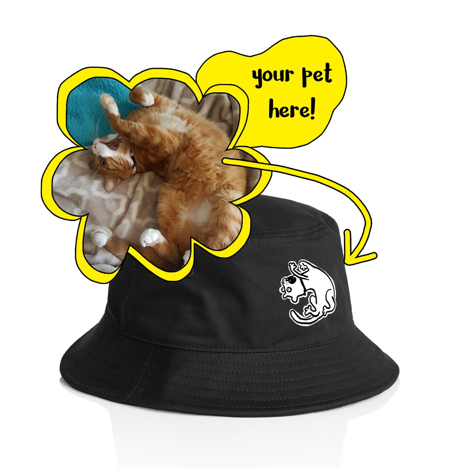 Badly Drawn Pet Hat