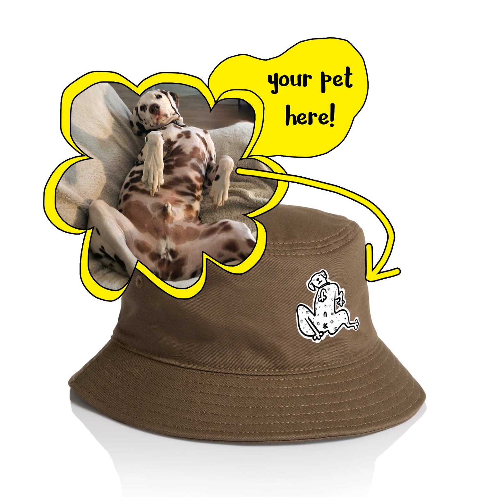 Badly Drawn Pet Hat