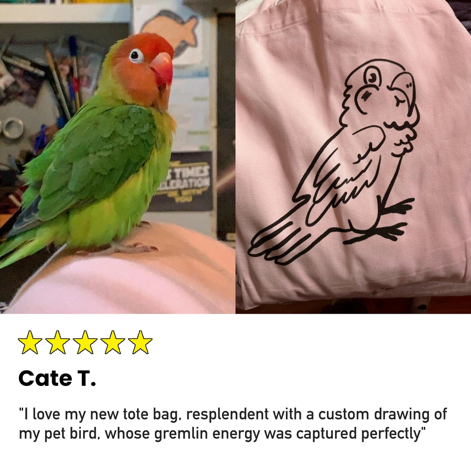 Badly Drawn Pet Hoodie