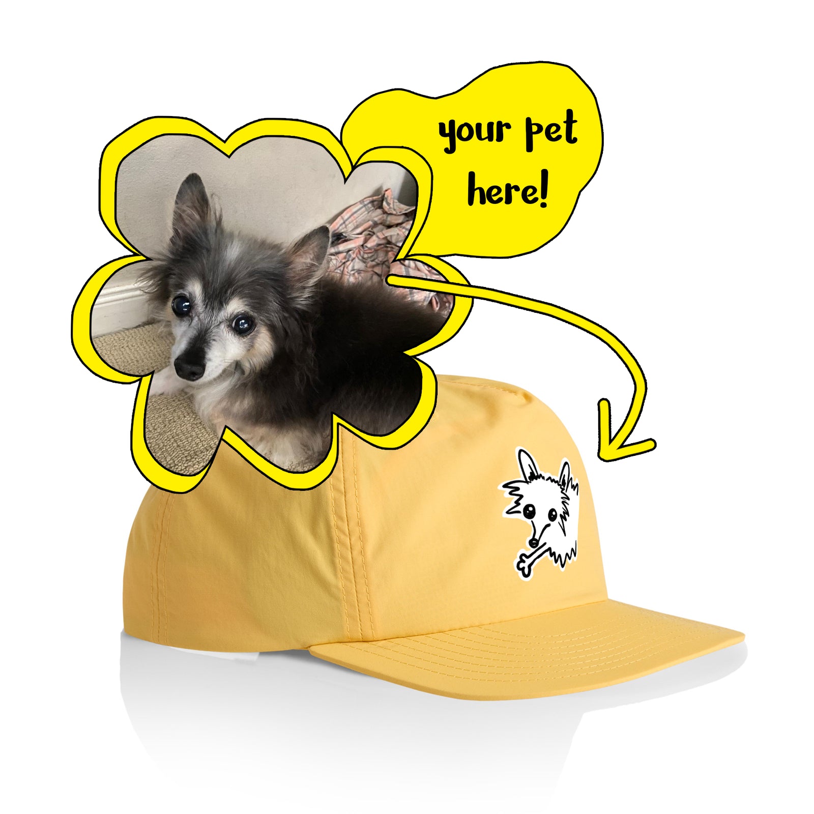 Badly Drawn Pet Hat
