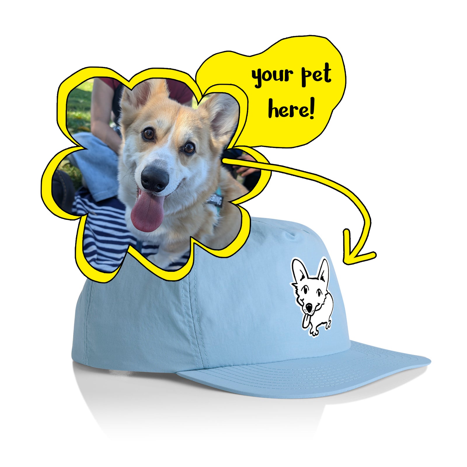 Badly Drawn Pet Hat