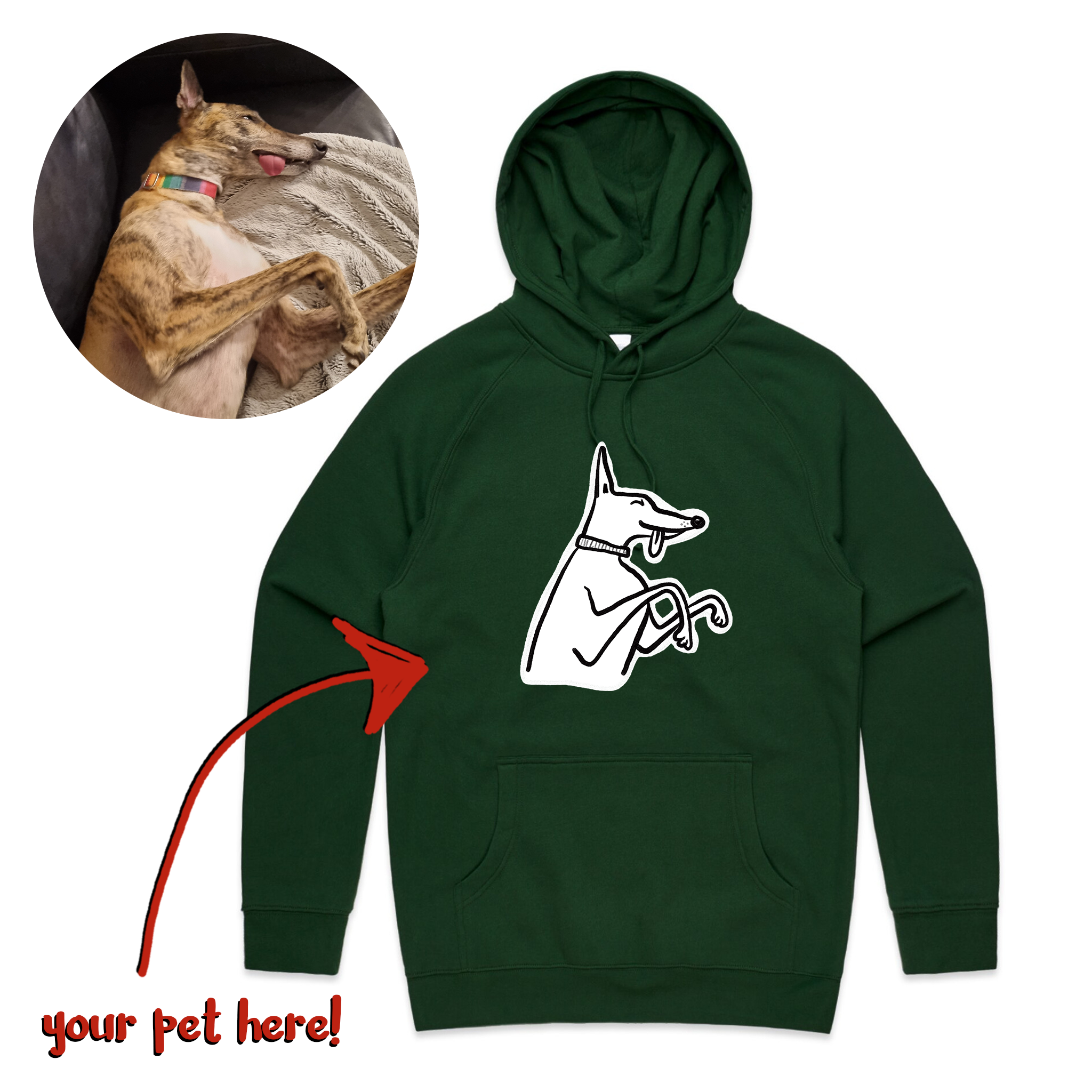 Badly Drawn Pet Hoodie