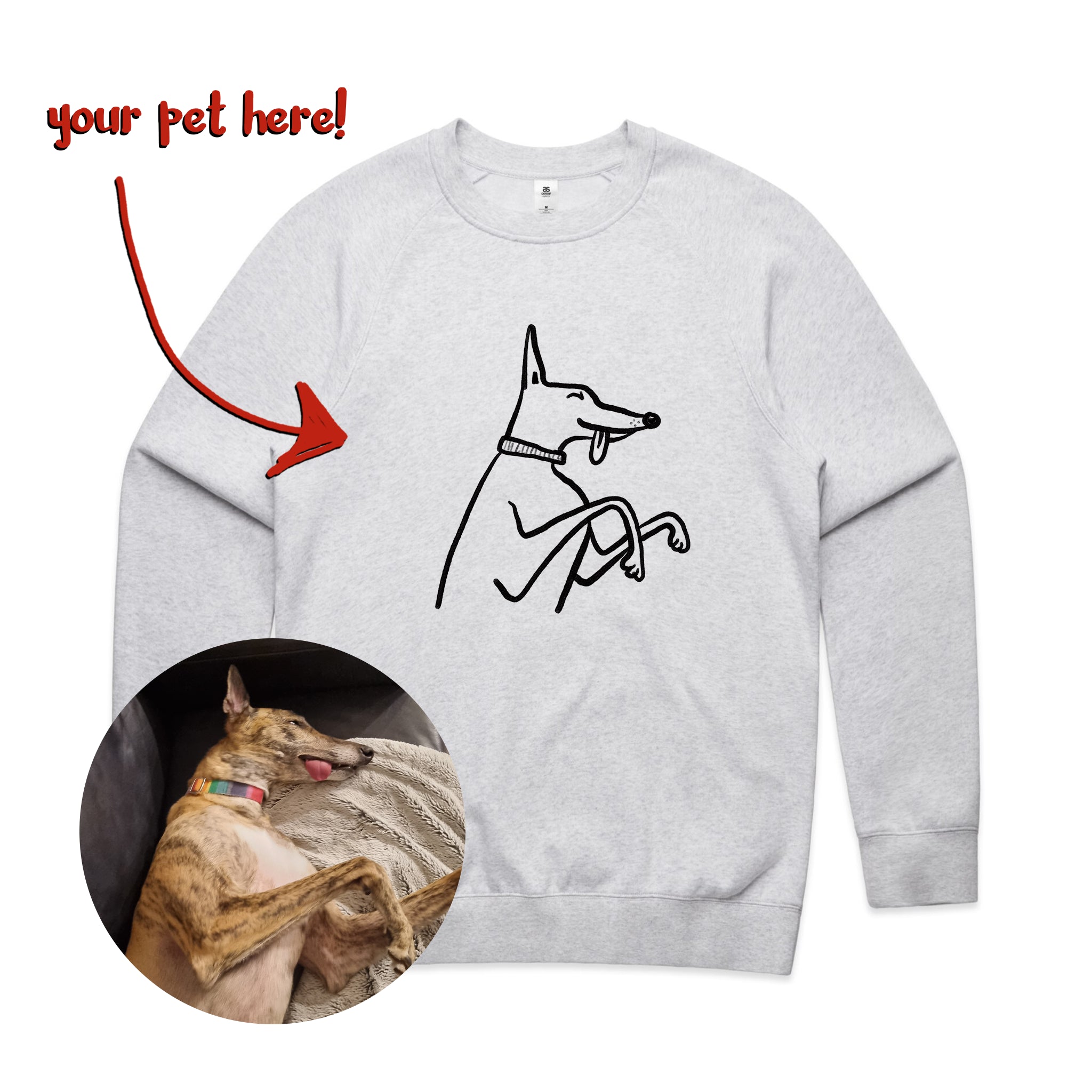 Badly Drawn Pet Jumper