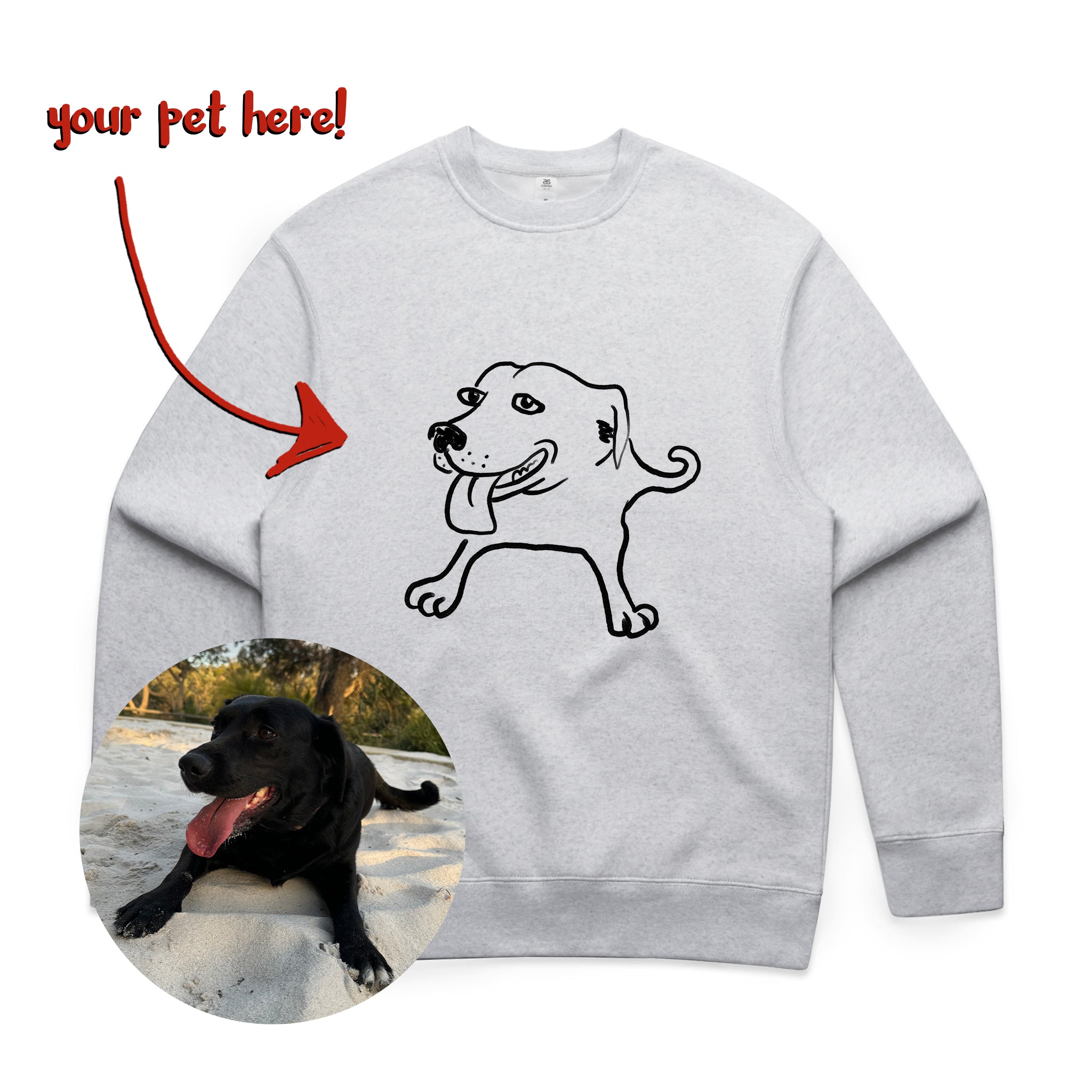 Badly Drawn Pet Jumper