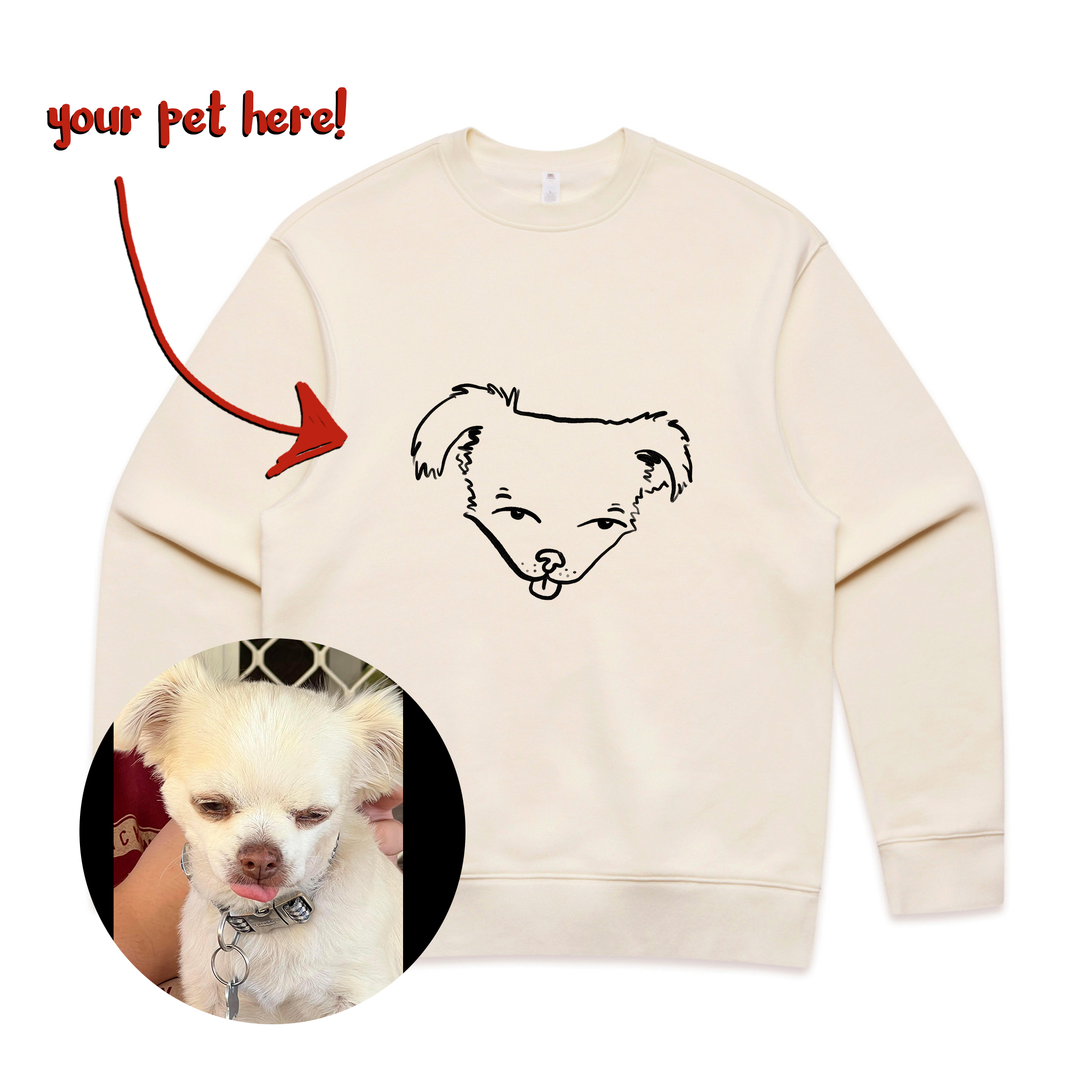 Badly Drawn Pet Jumper
