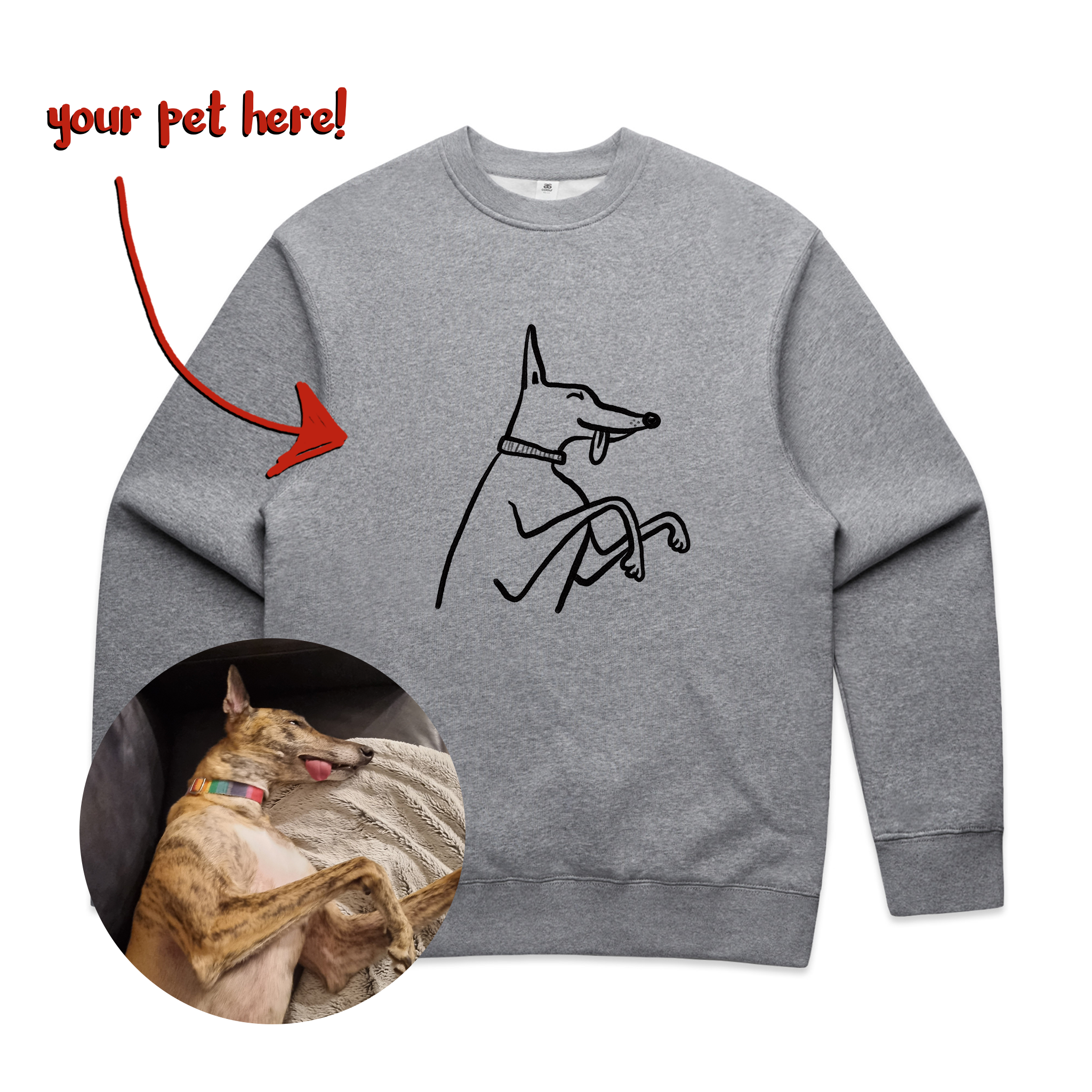 Badly Drawn Pet Jumper