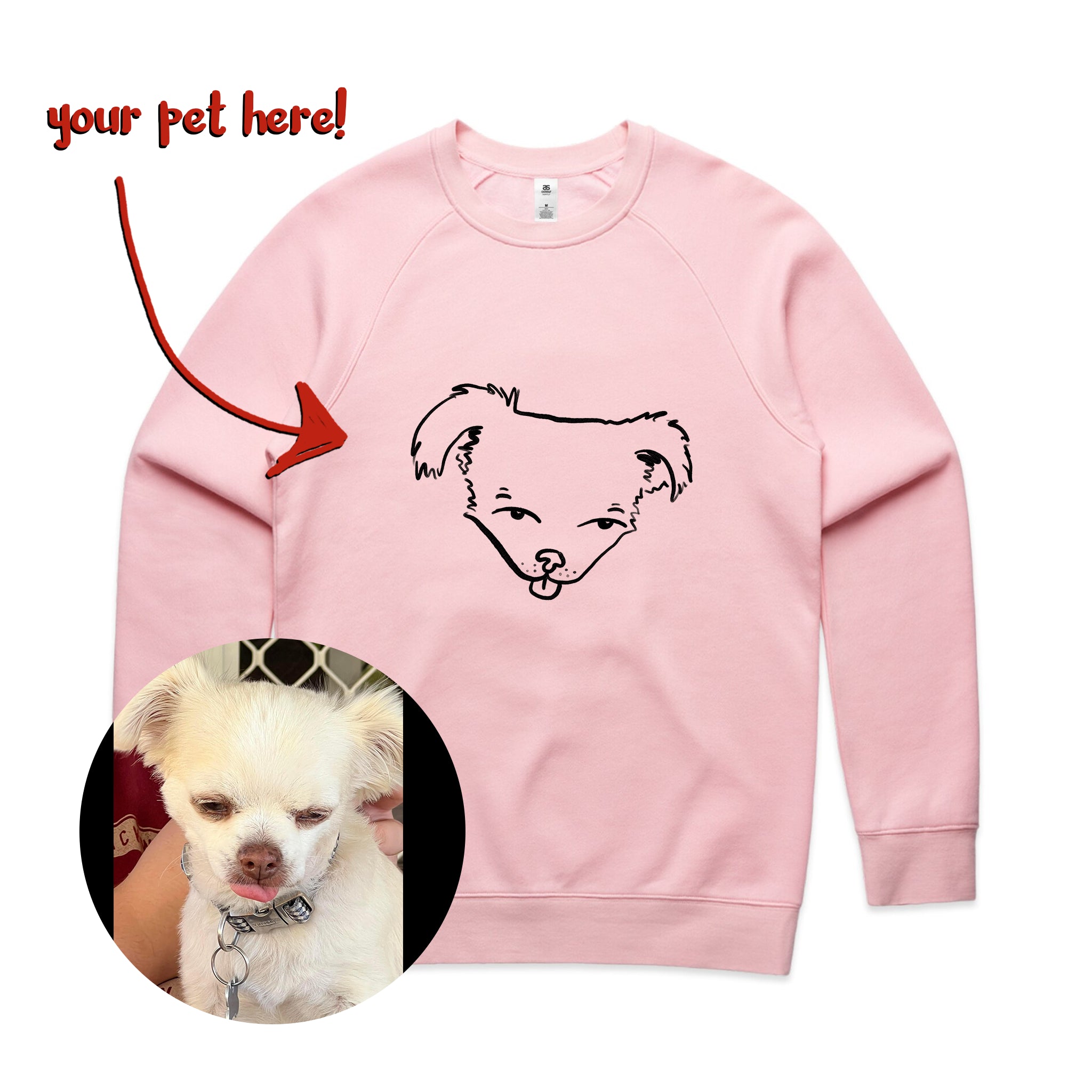 Badly Drawn Pet Jumper