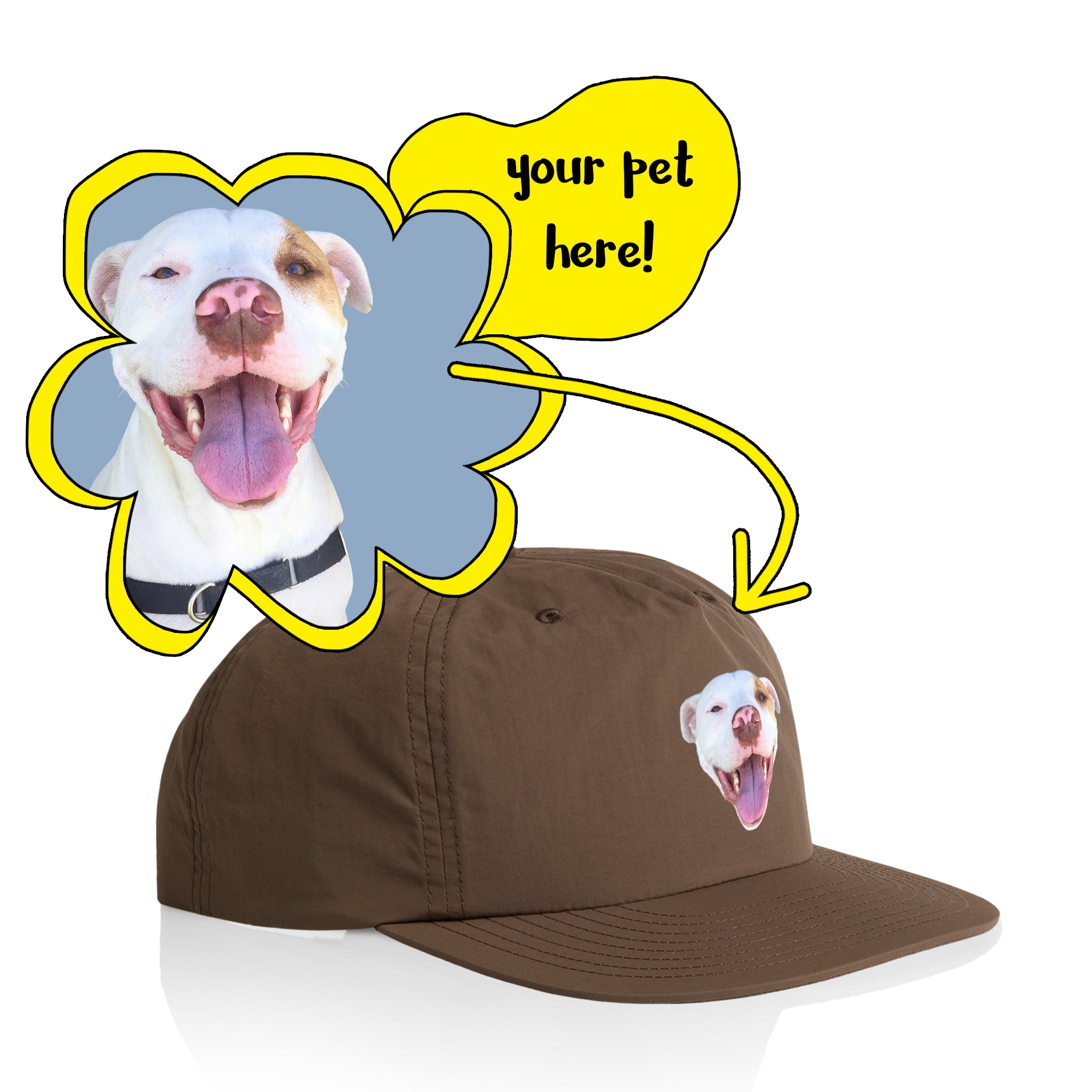Create Your Own Pet Hat