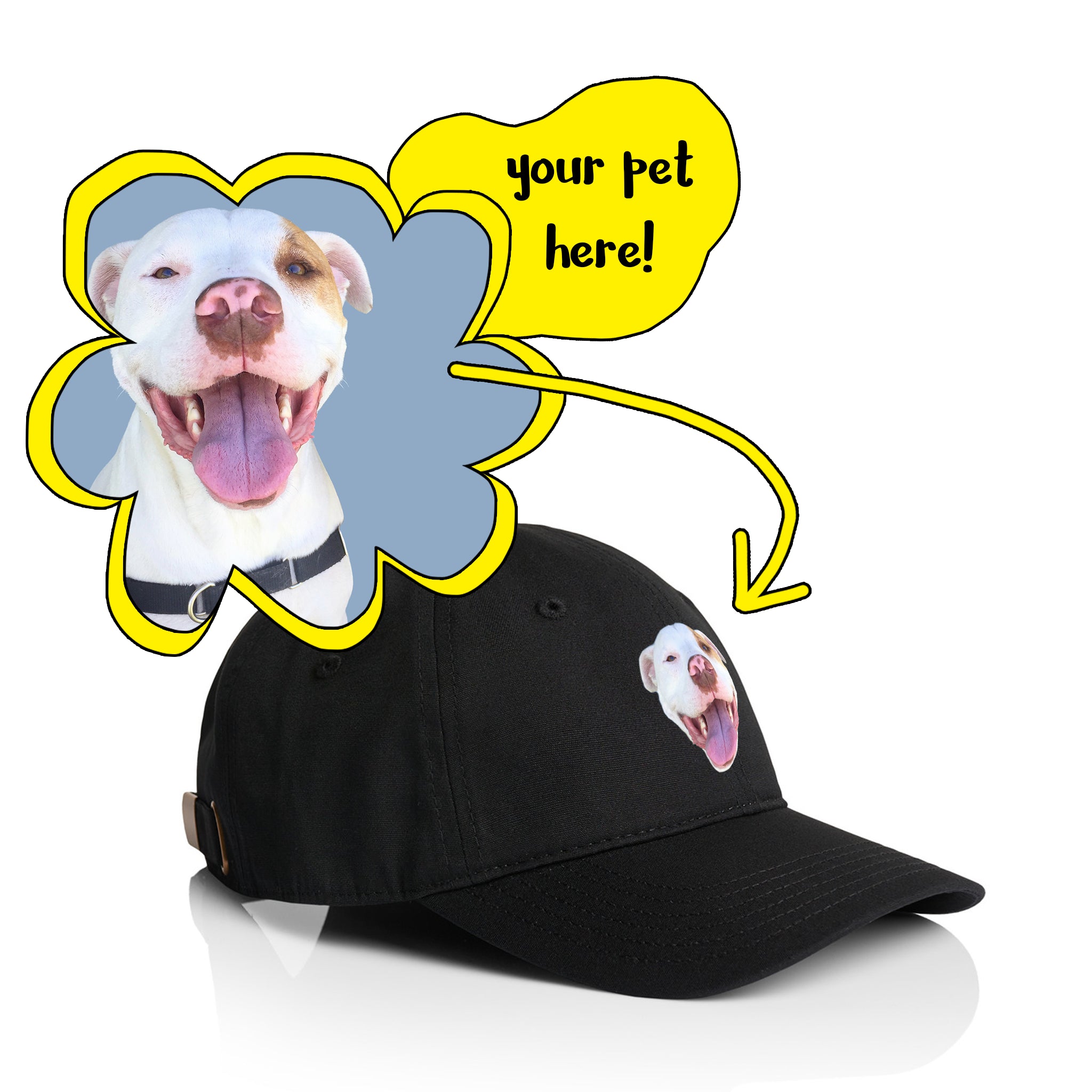 Create Your Own Pet Hat