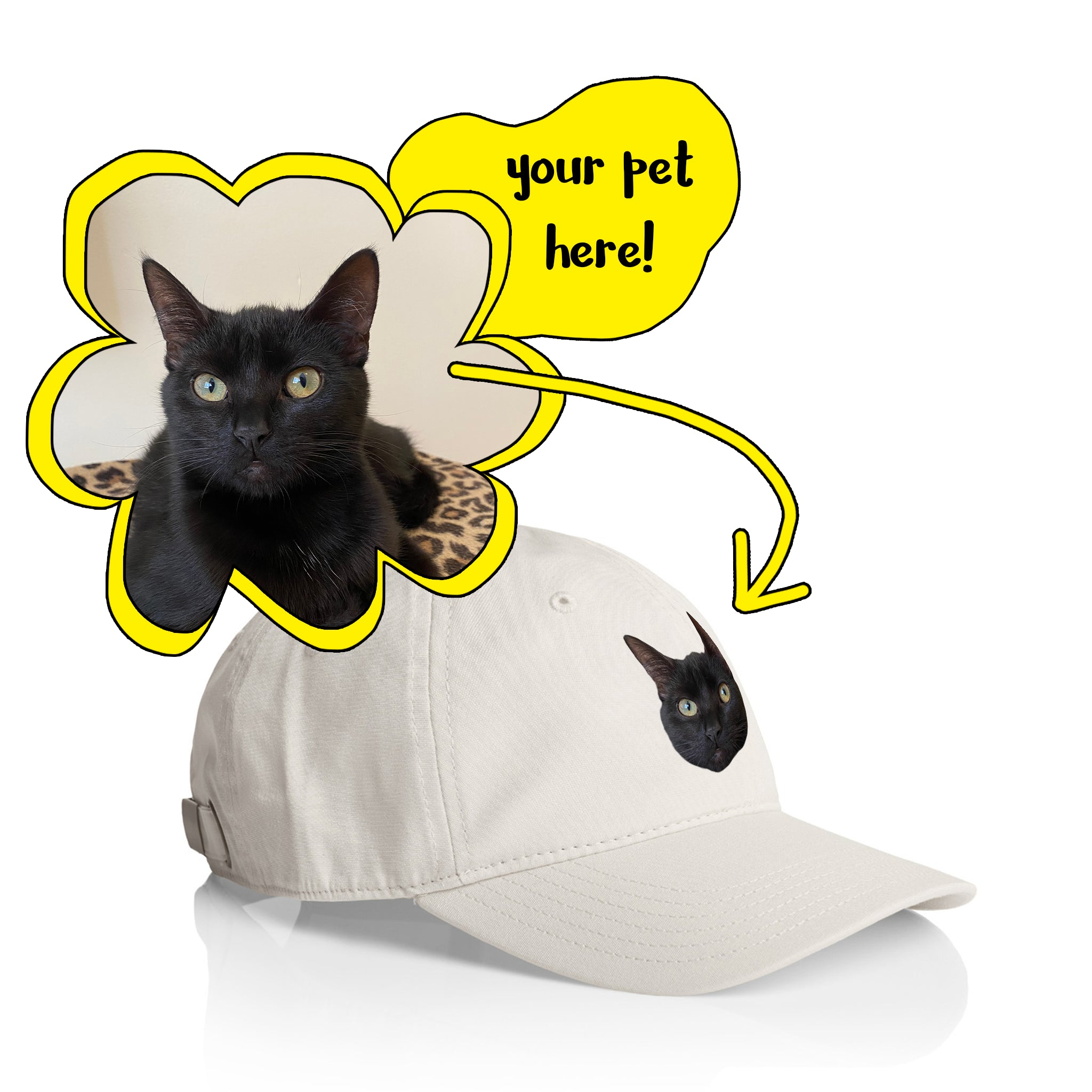 Create Your Own Pet Hat