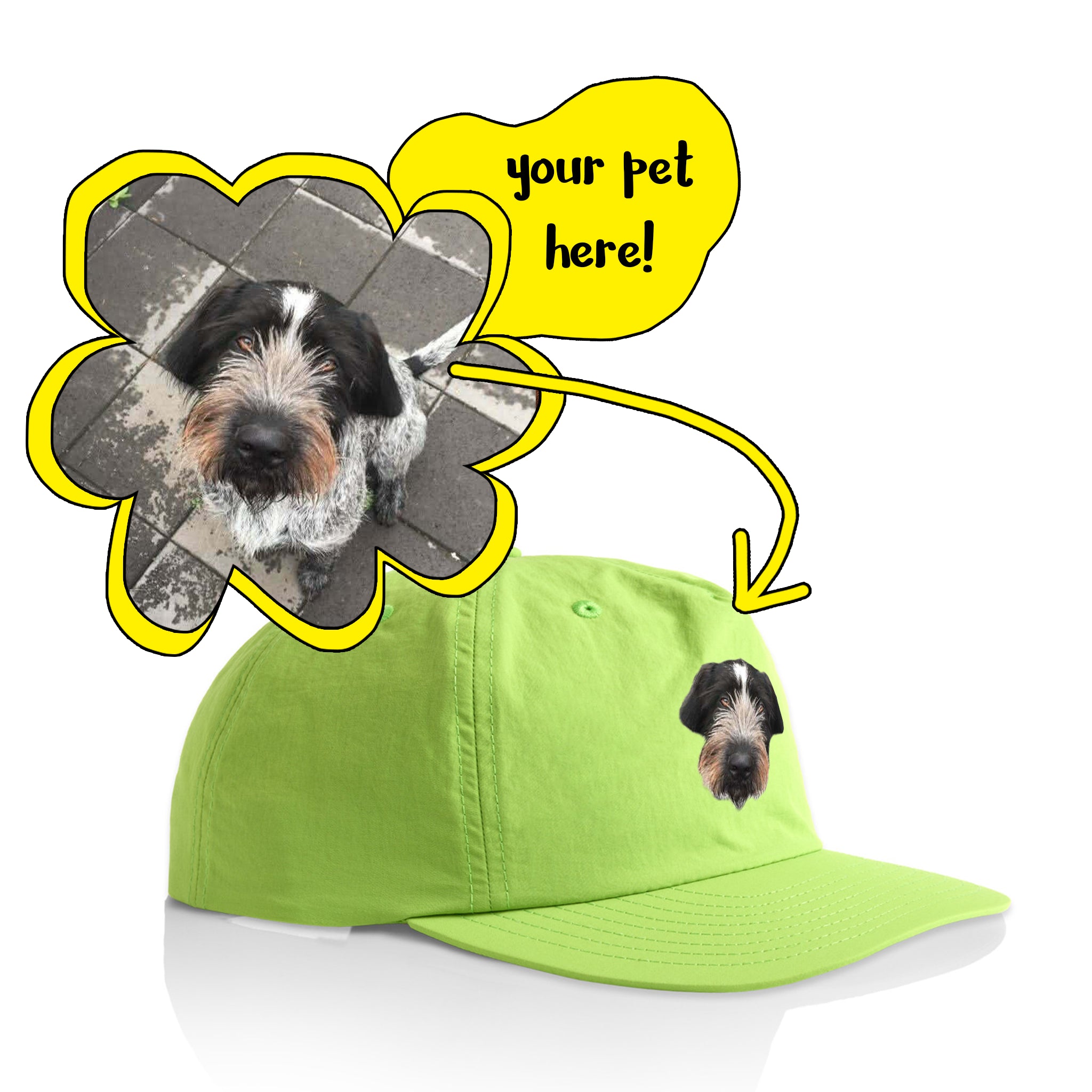 Create Your Own Pet Hat