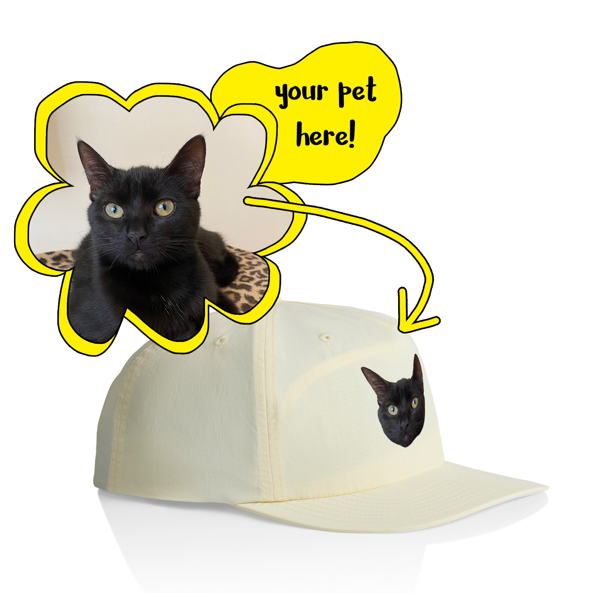 Create Your Own Pet Hat