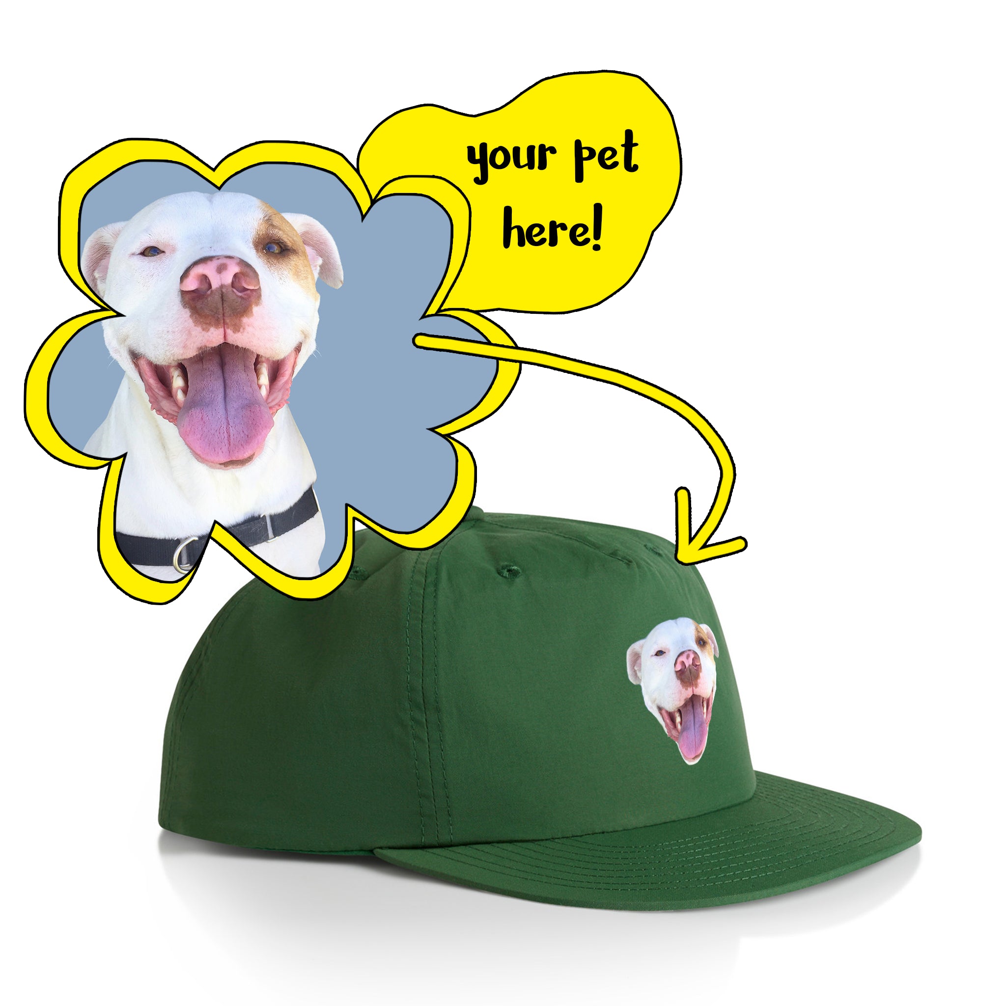 Create Your Own Pet Hat