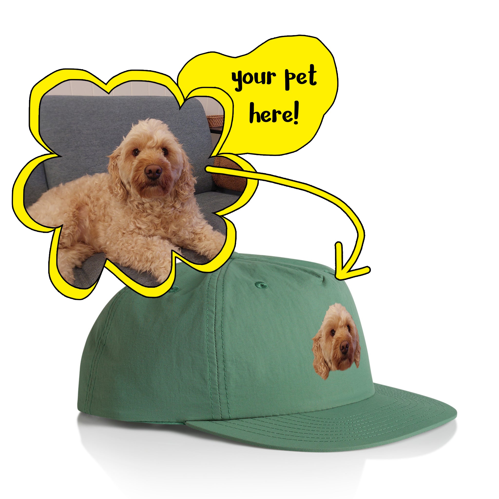 Create Your Own Pet Hat