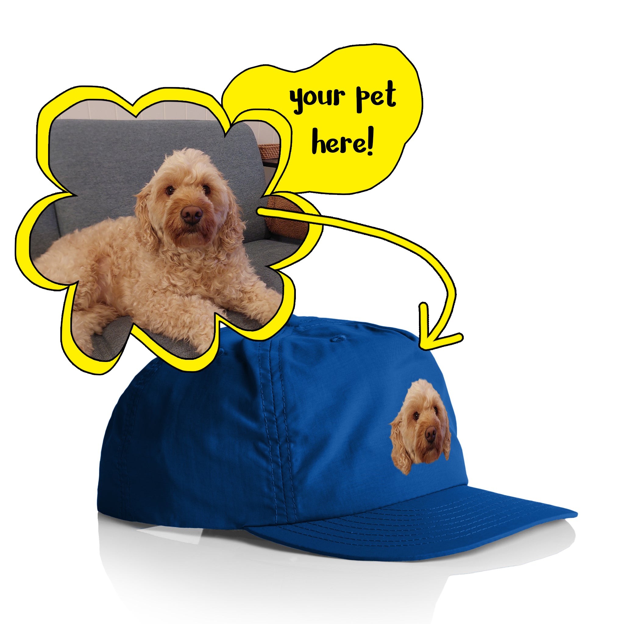Create Your Own Pet Hat