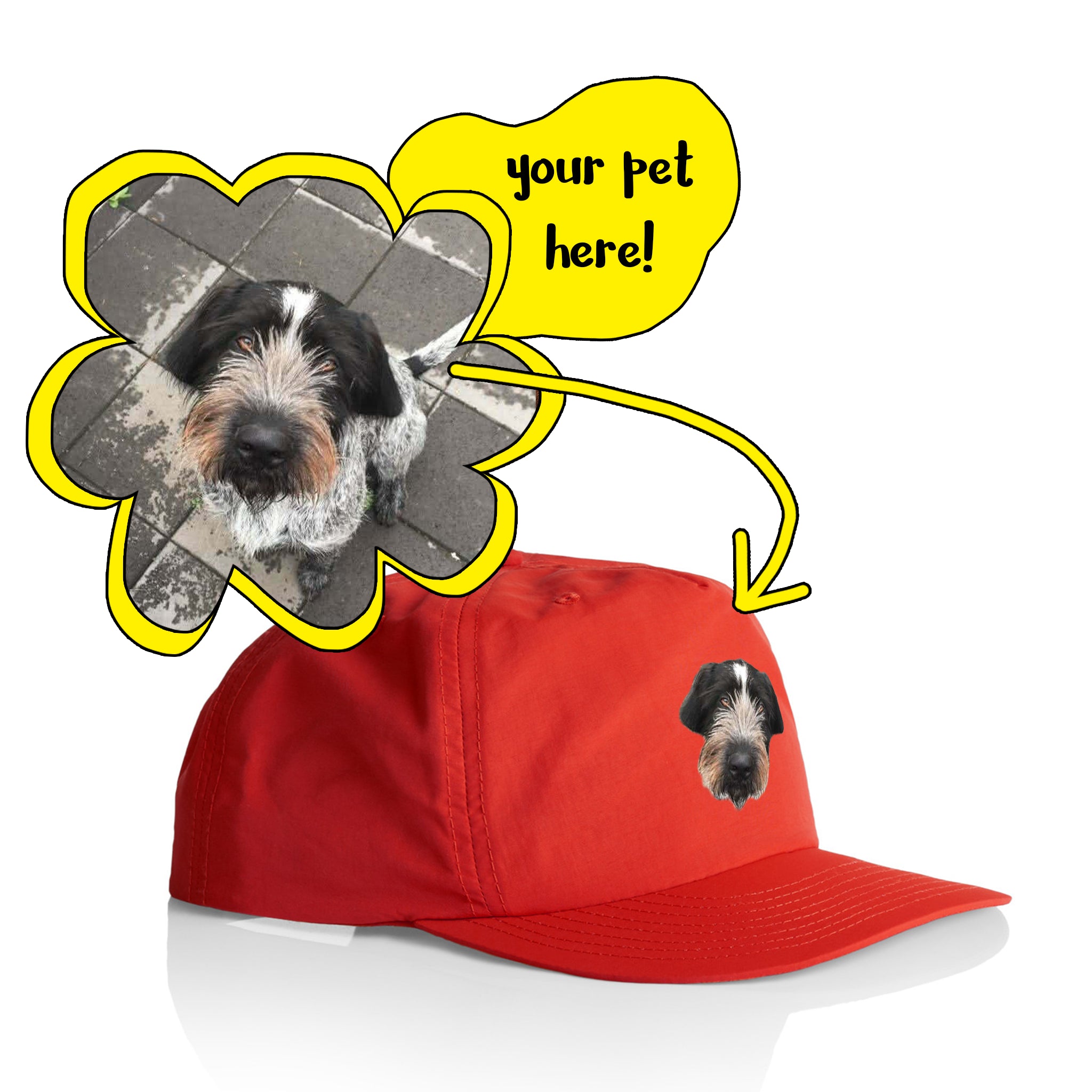 Create Your Own Pet Hat