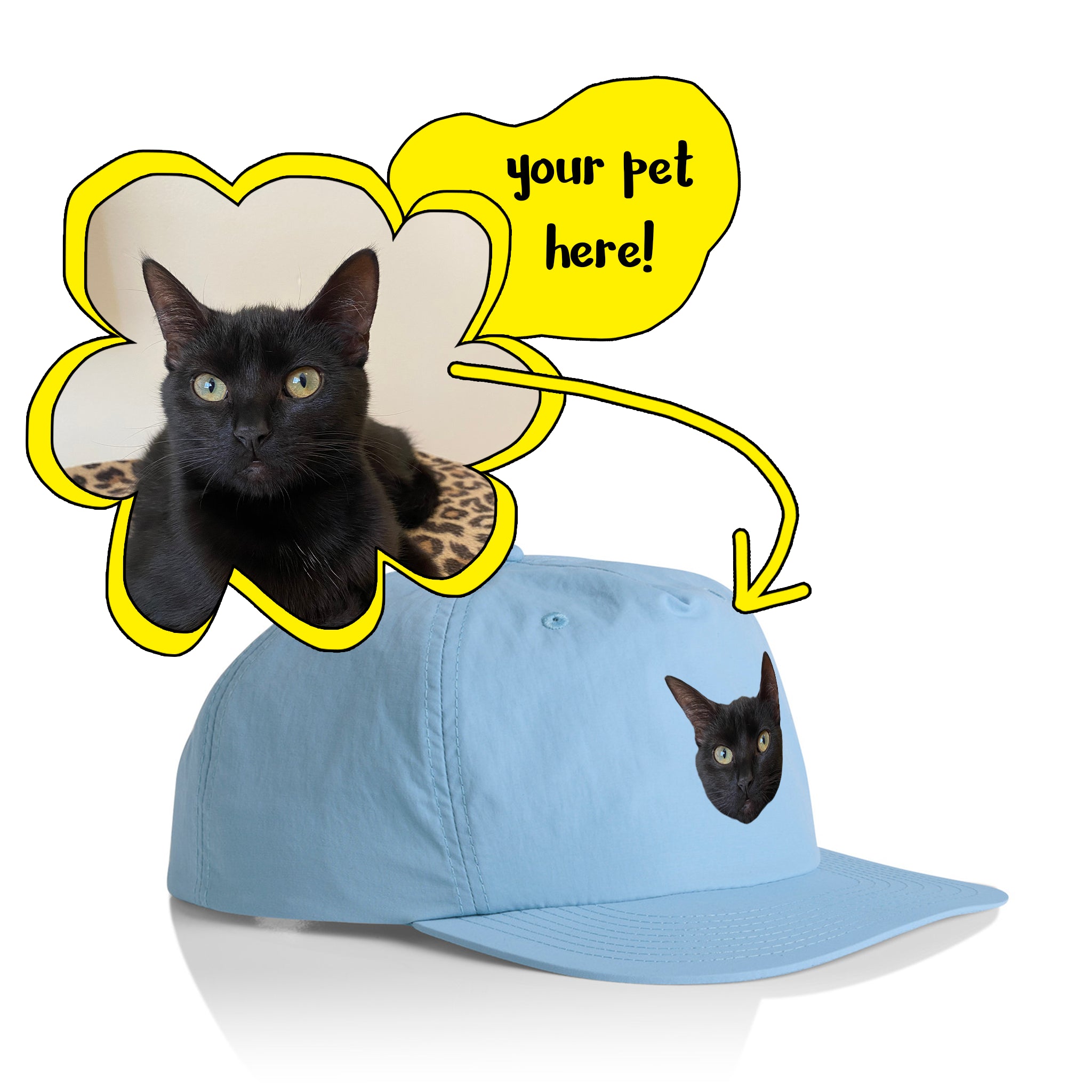 Create Your Own Pet Hat