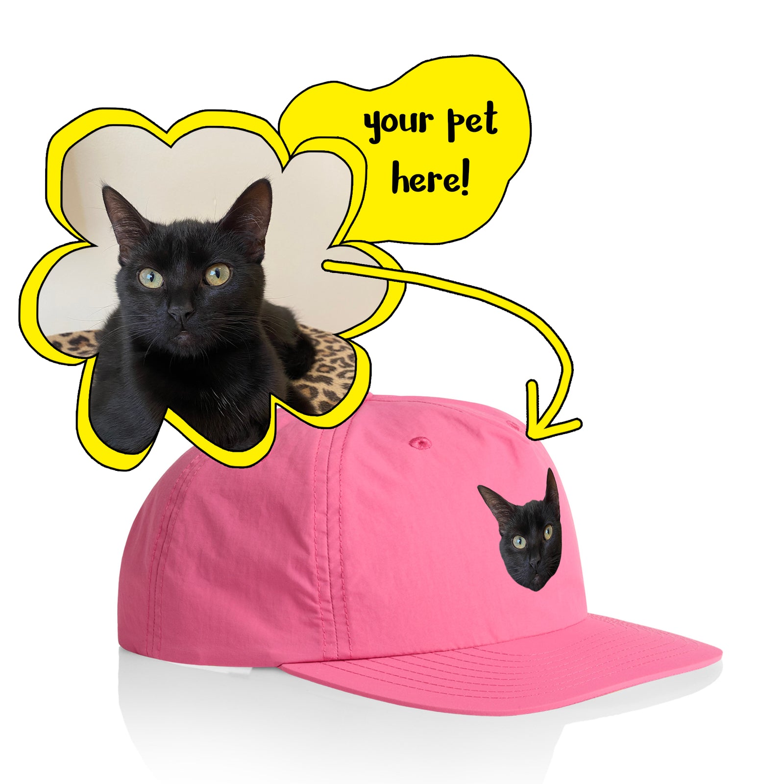 Create Your Own Pet Hat