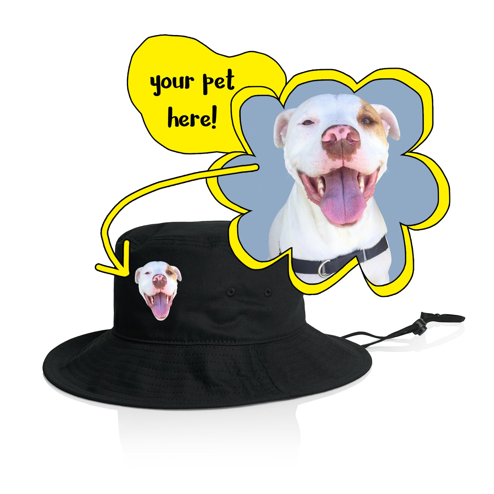Create Your Own Pet Hat
