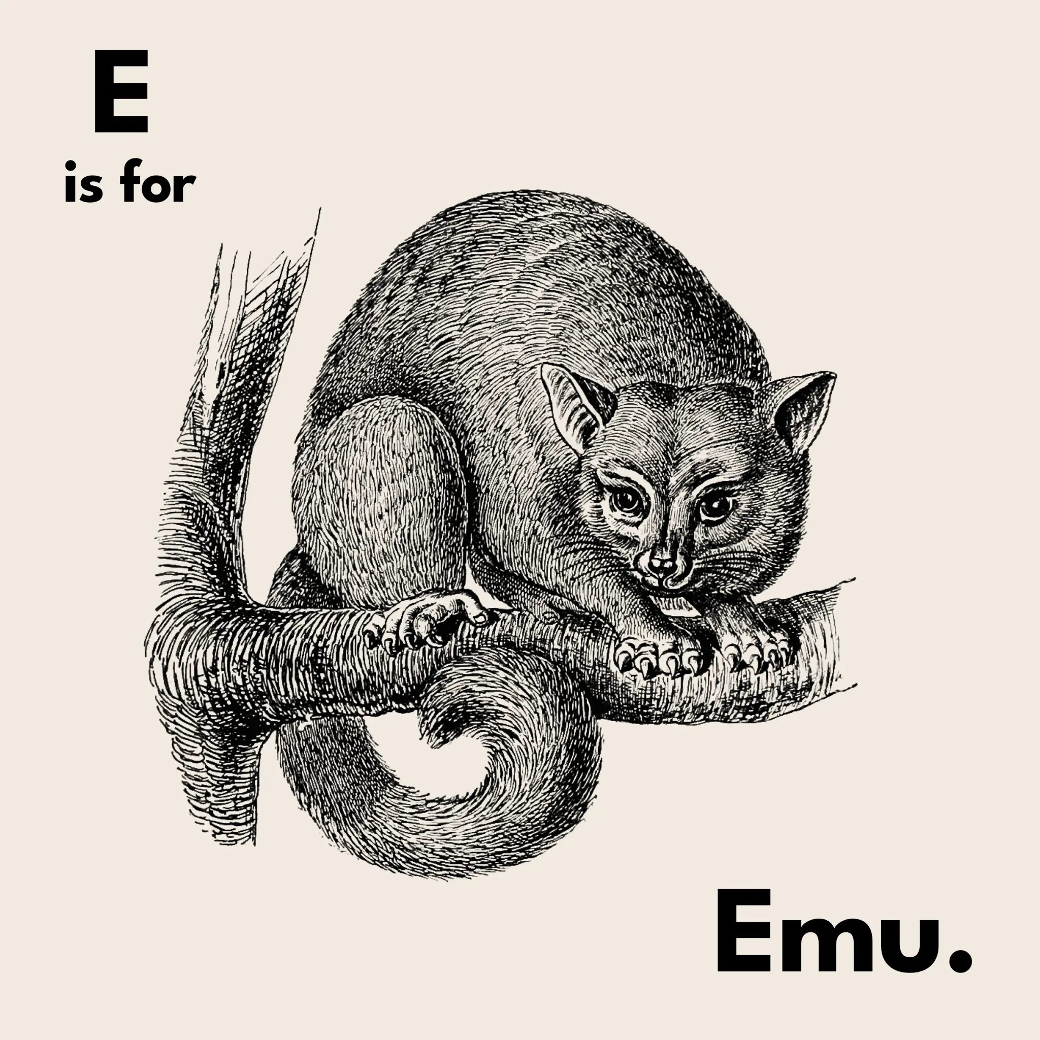 E Is For Emu Tee