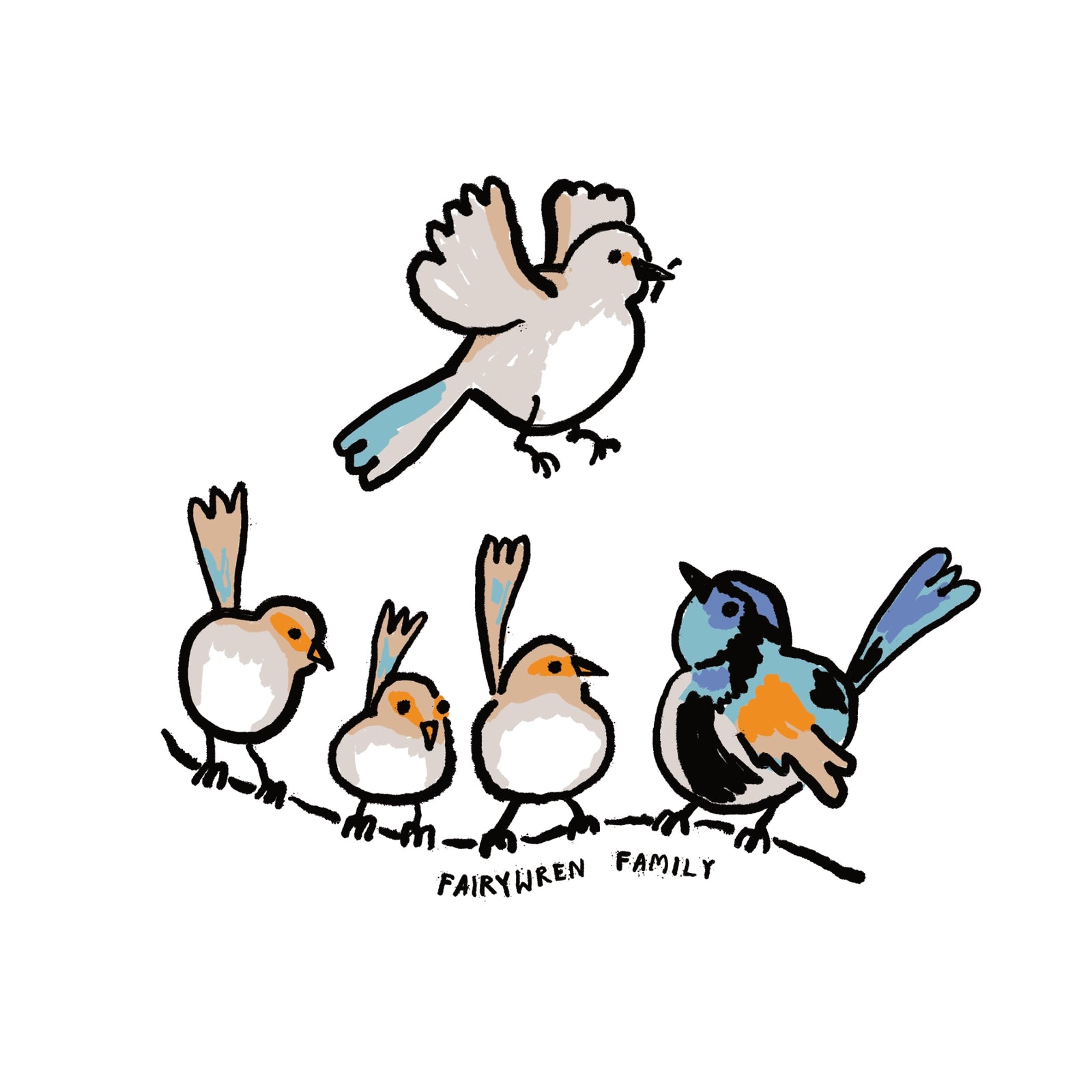 Fairywren Family Tee