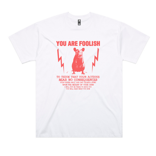 You Are Foolish Oversized Tee by Lonely Kids Club. All clothing from our T-shirts to our shorts and hoodies are ethically made, and printed packed and shipped from Sydney.