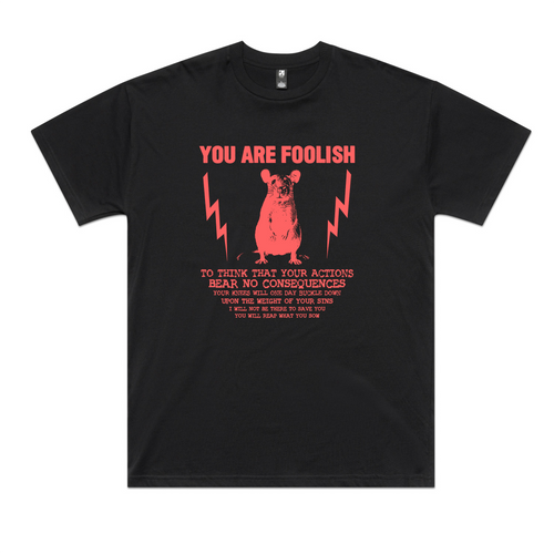 You Are Foolish Oversized Tee by Lonely Kids Club. All clothing from our T-shirts to our shorts and hoodies are ethically made, and printed packed and shipped from Sydney.
