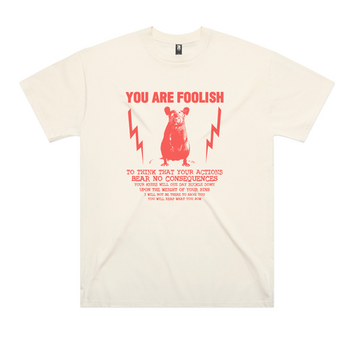 You Are Foolish Oversized Tee by Lonely Kids Club. All clothing from our T-shirts to our shorts and hoodies are ethically made, and printed packed and shipped from Sydney.