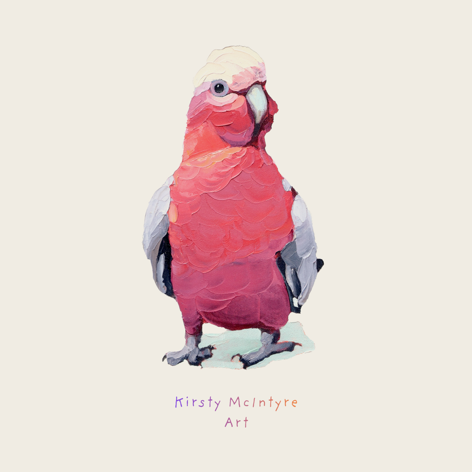 Absolute Galah Hoodie