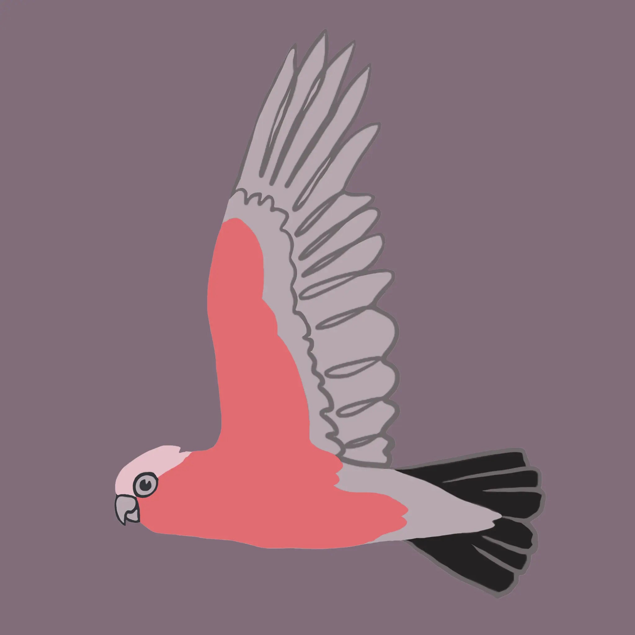 Galah In Flight Tee