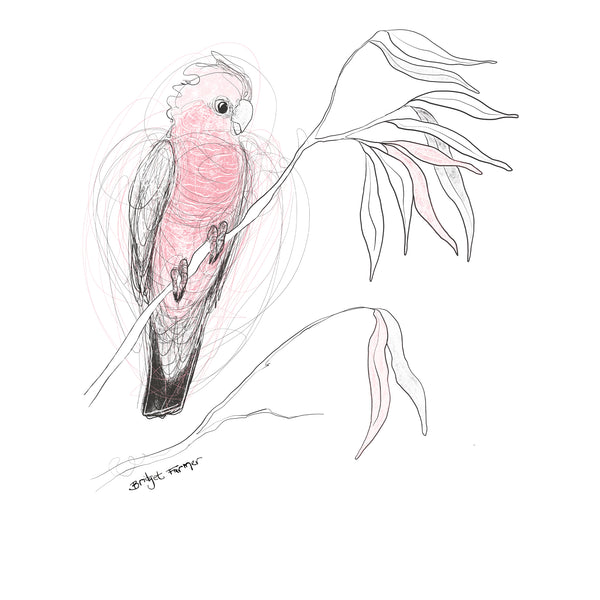 Galah Tee