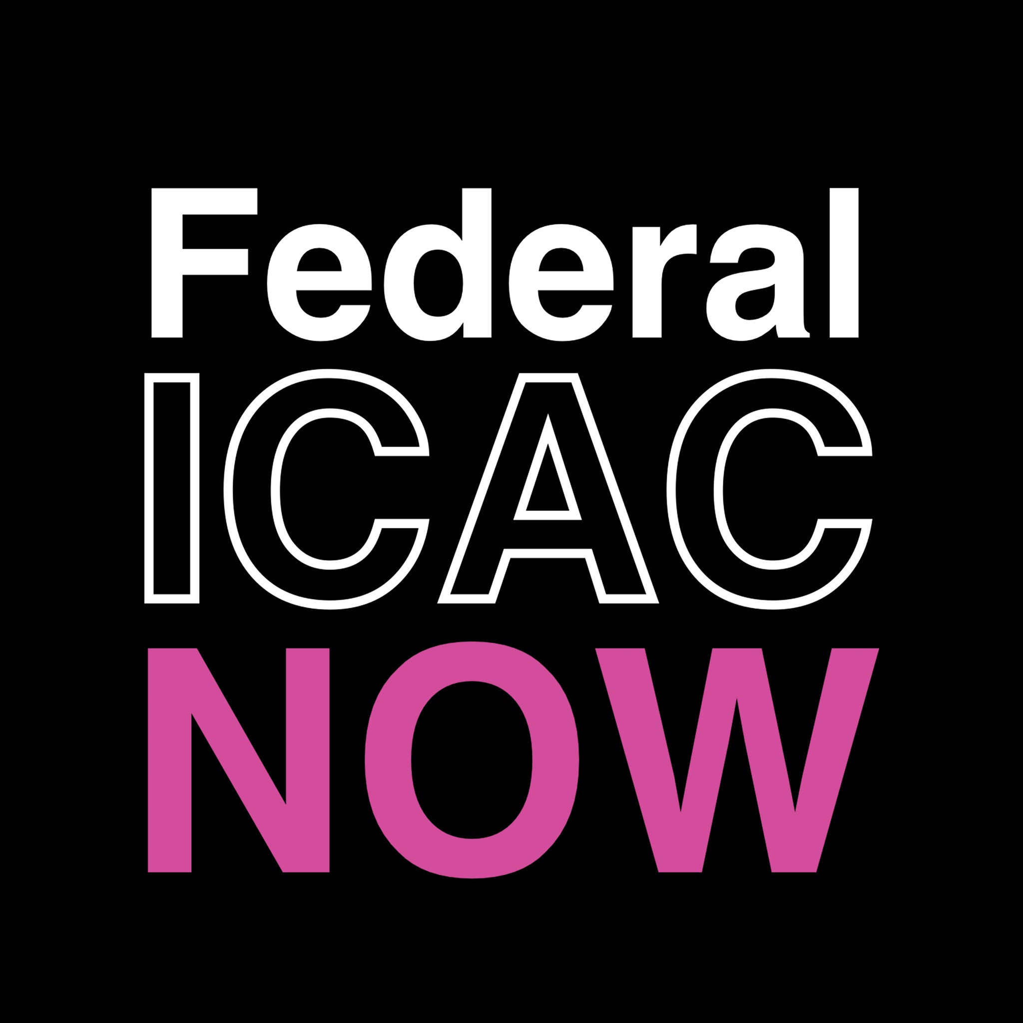 Federal ICAC Now Hoodie