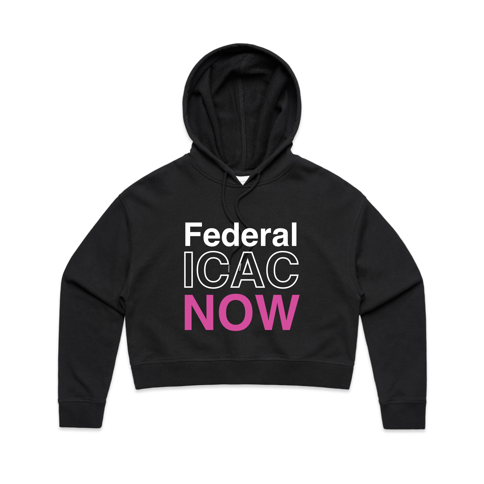 Federal ICAC Now Hoodie