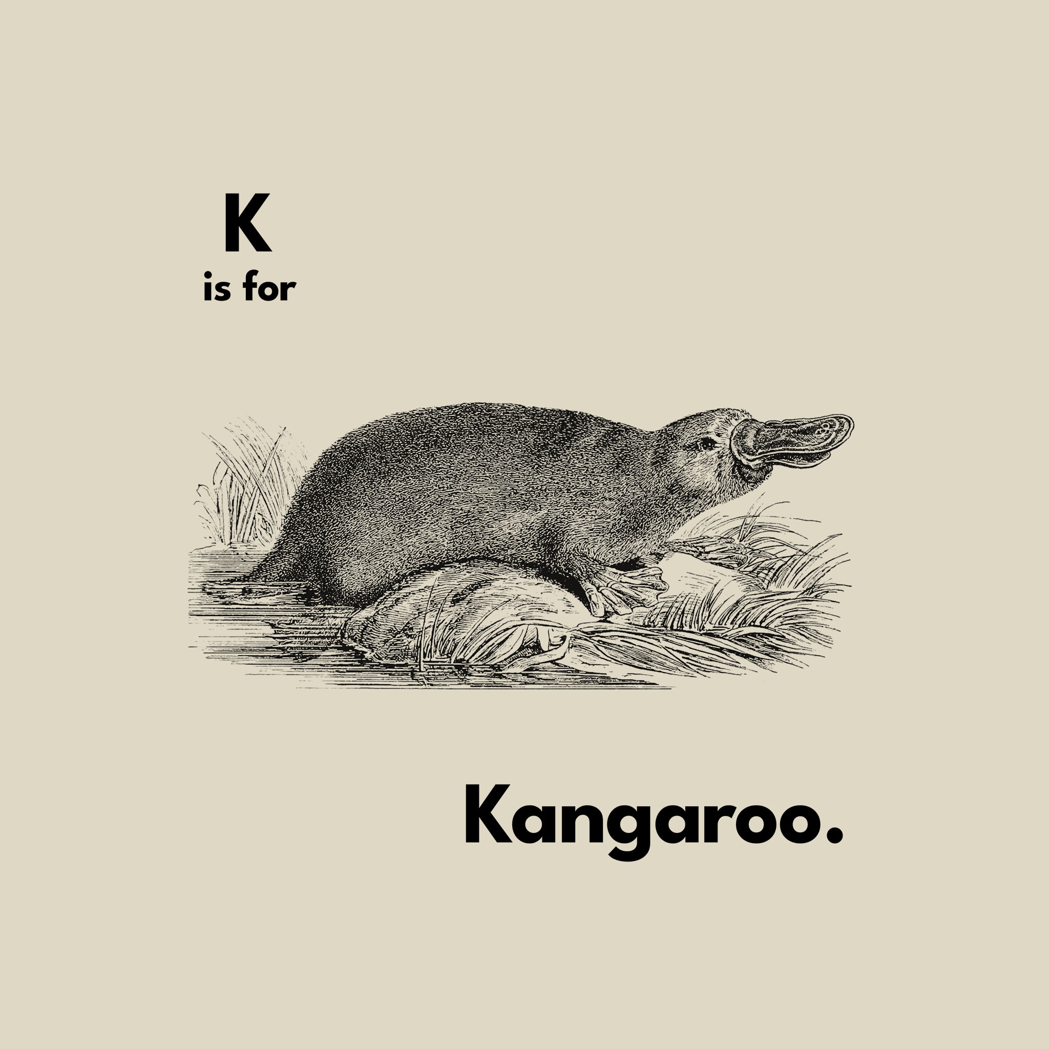K Is For Kangaroo Hoodie