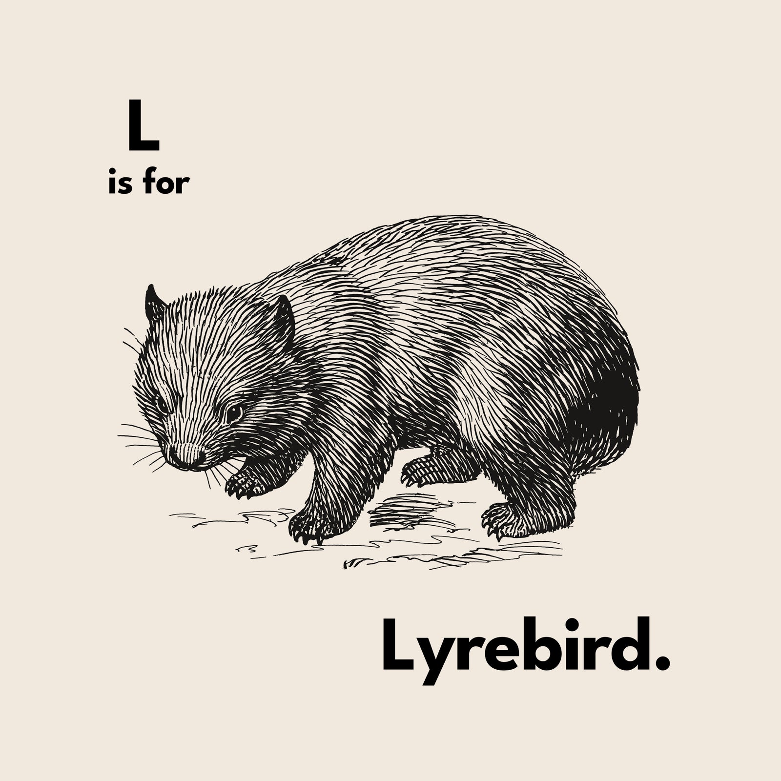 L Is For Lyrebird Tee