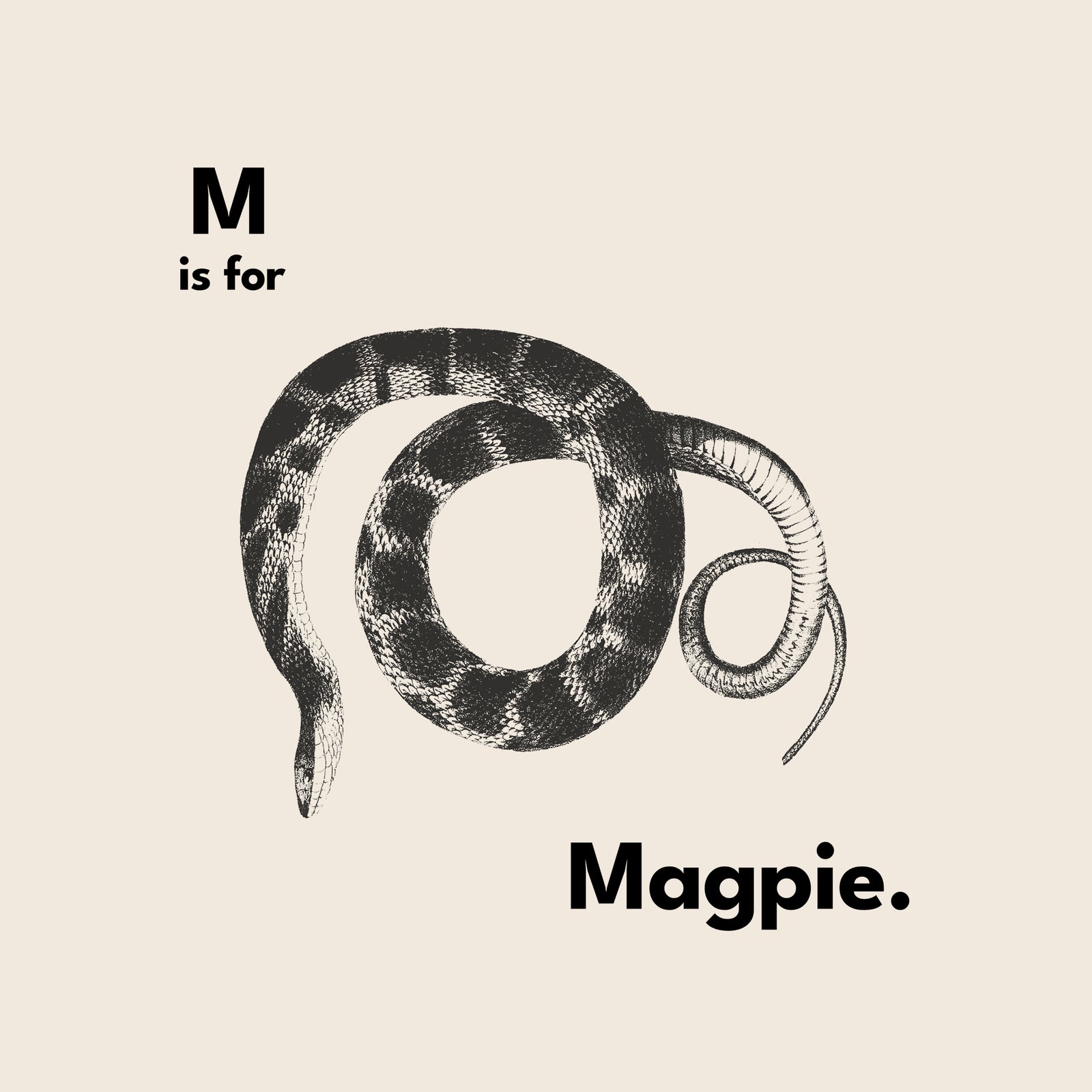 M Is For Magpie Tee