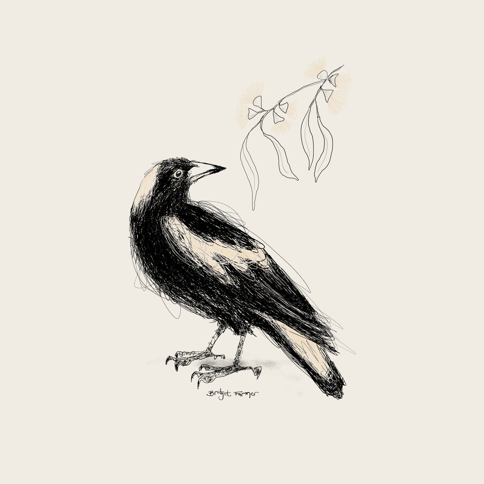 Australian Magpie Hoodie